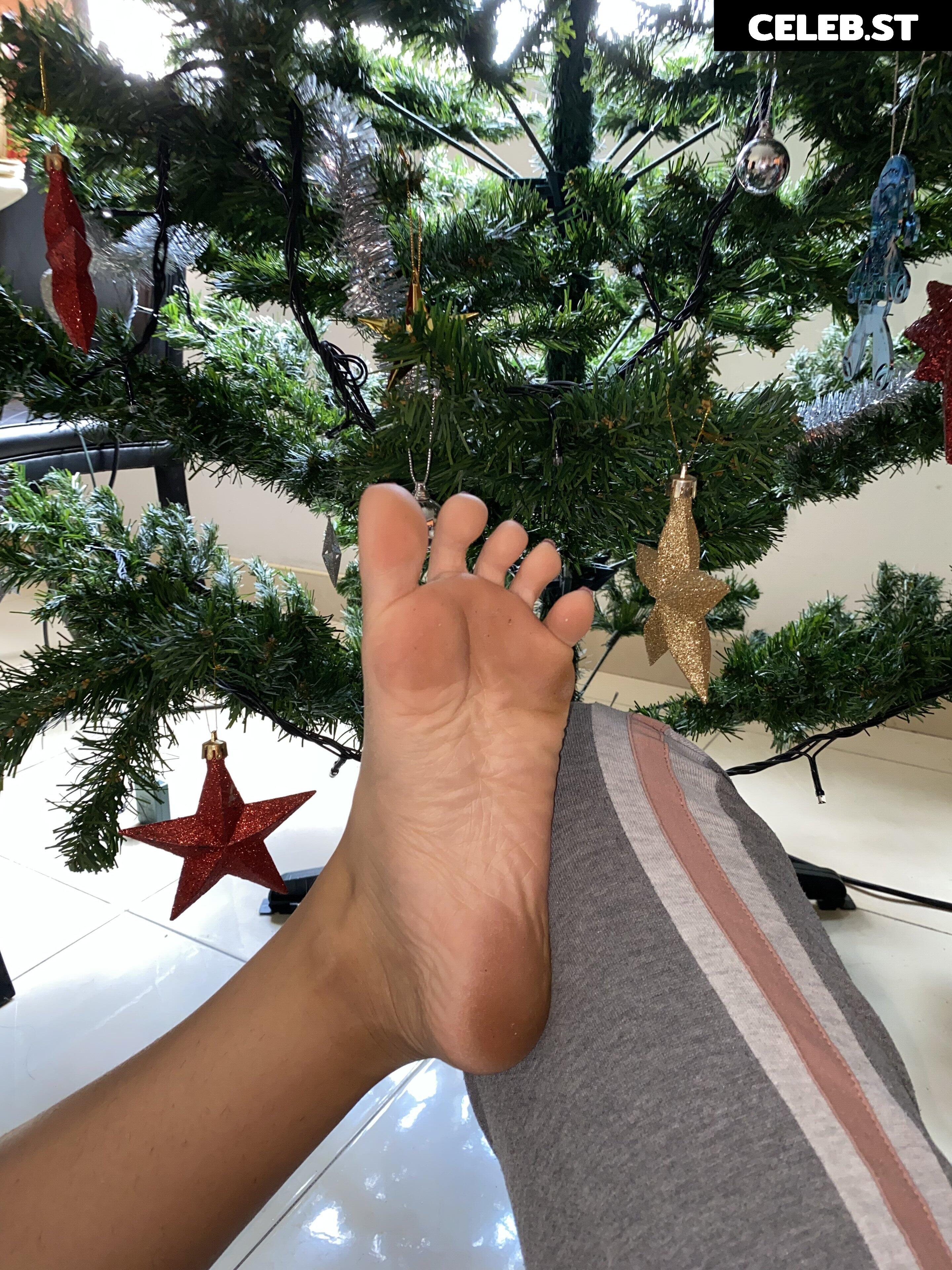 eurasian_feet Image 18072909