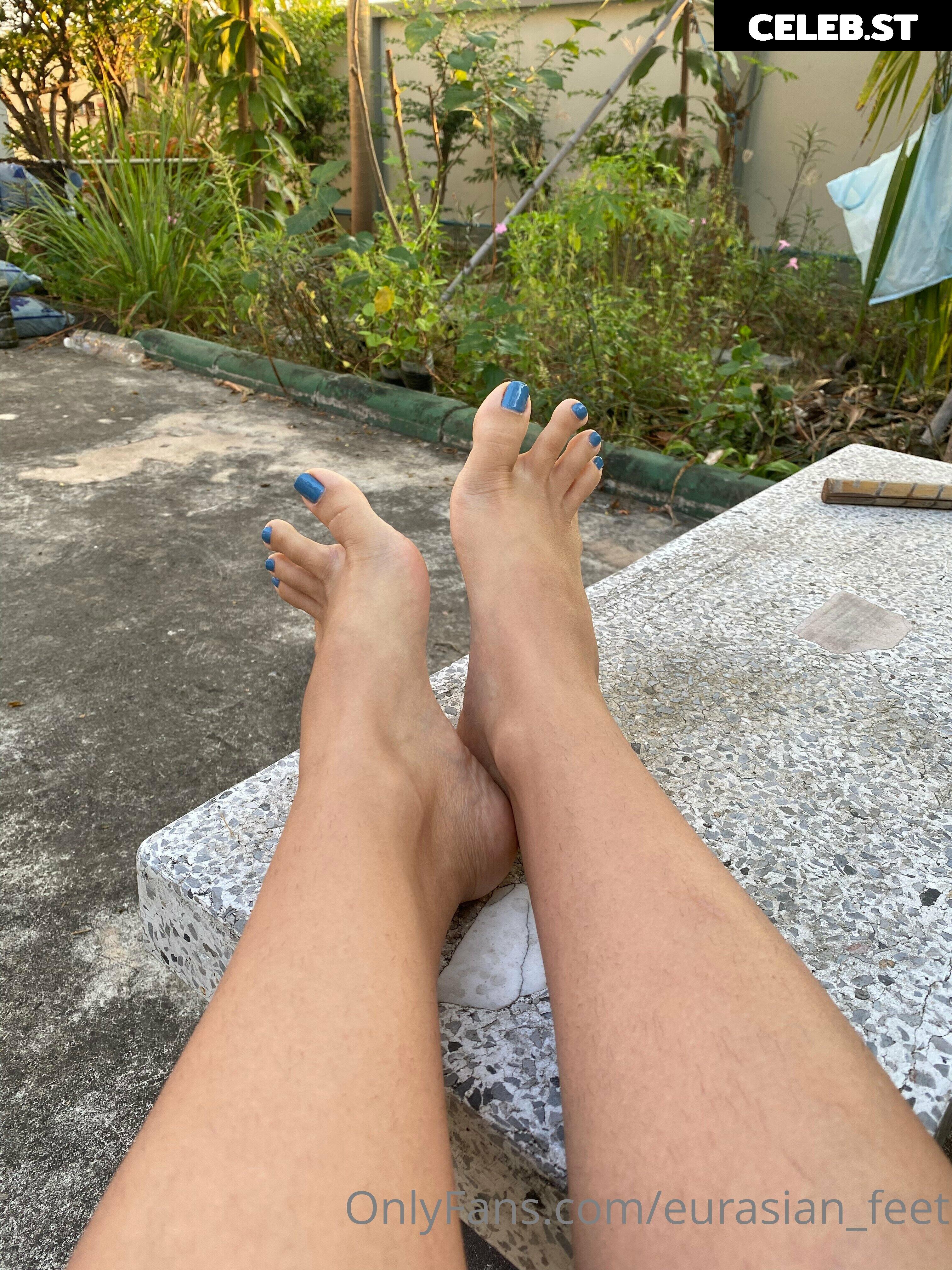 eurasian_feet Image 18072813