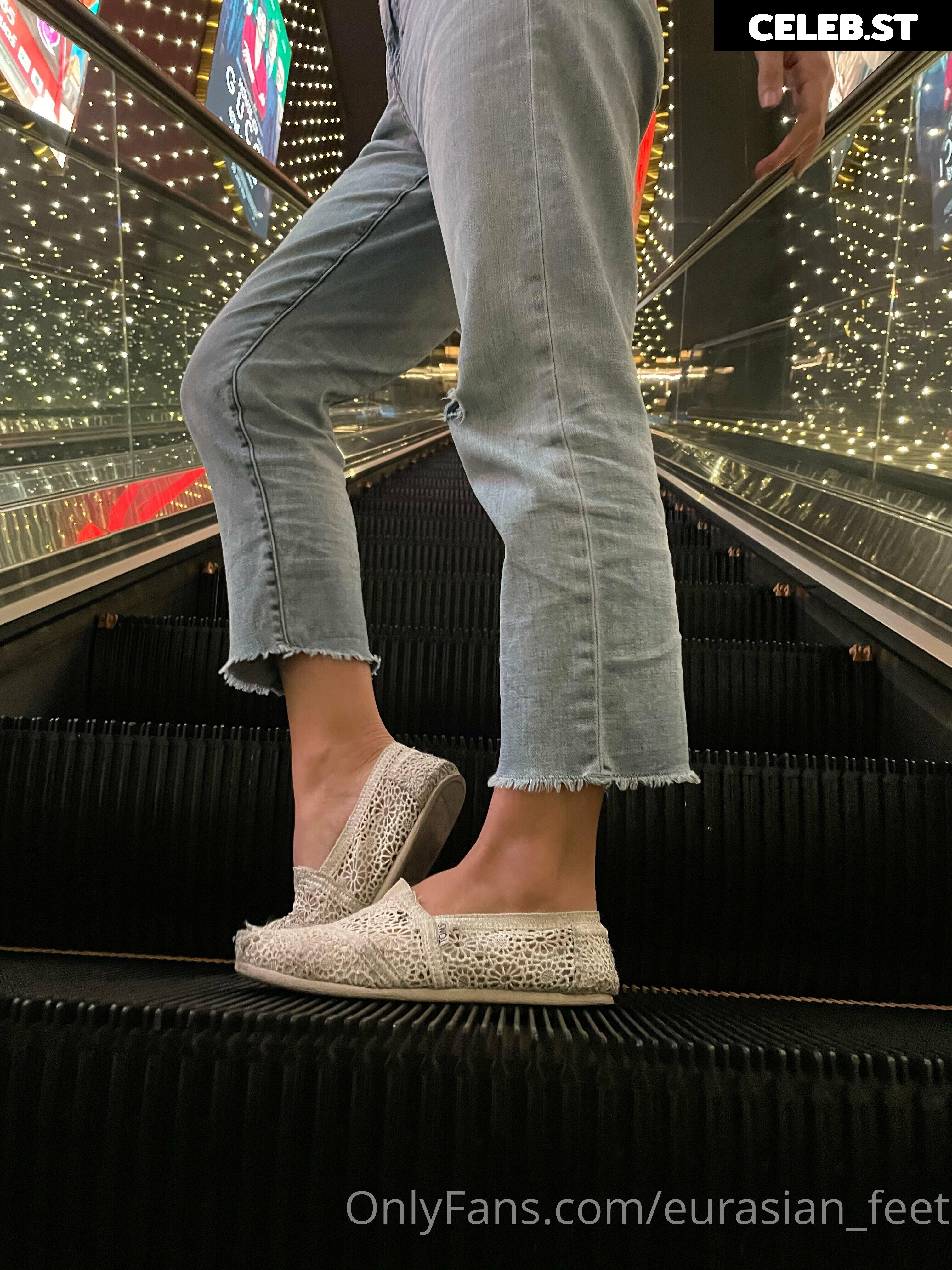 eurasian_feet Image 18072566