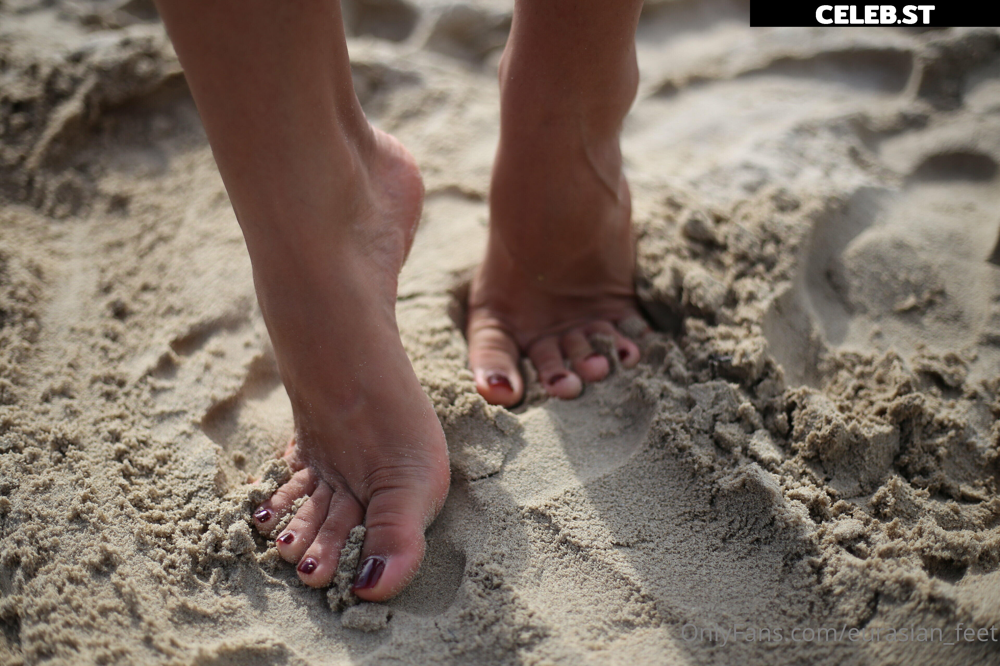 eurasian_feet Image 18072462