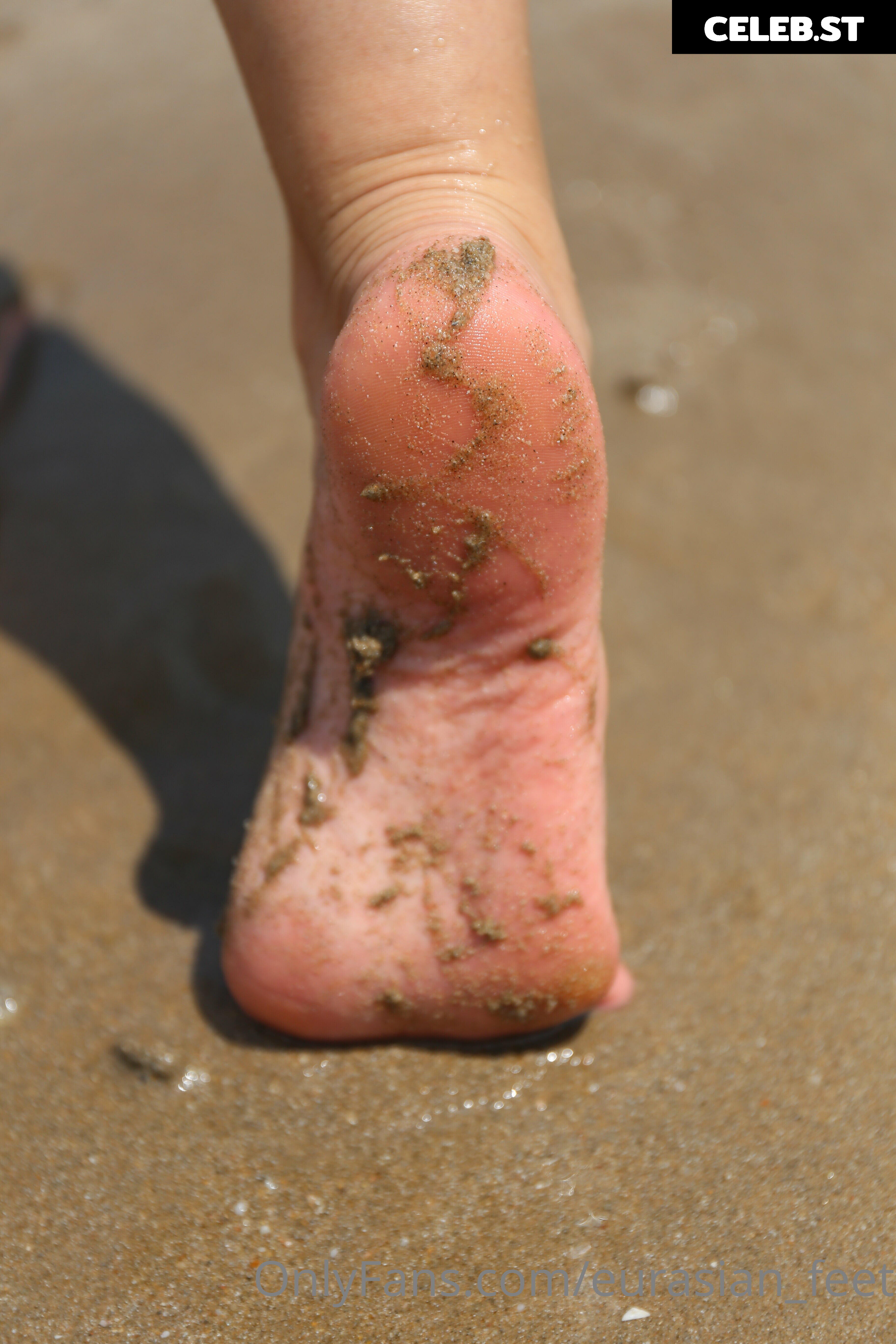 eurasian_feet Image 18072798