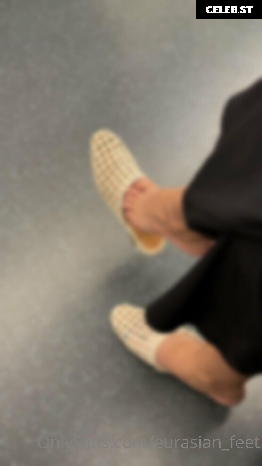 eurasian_feet Image 18072725