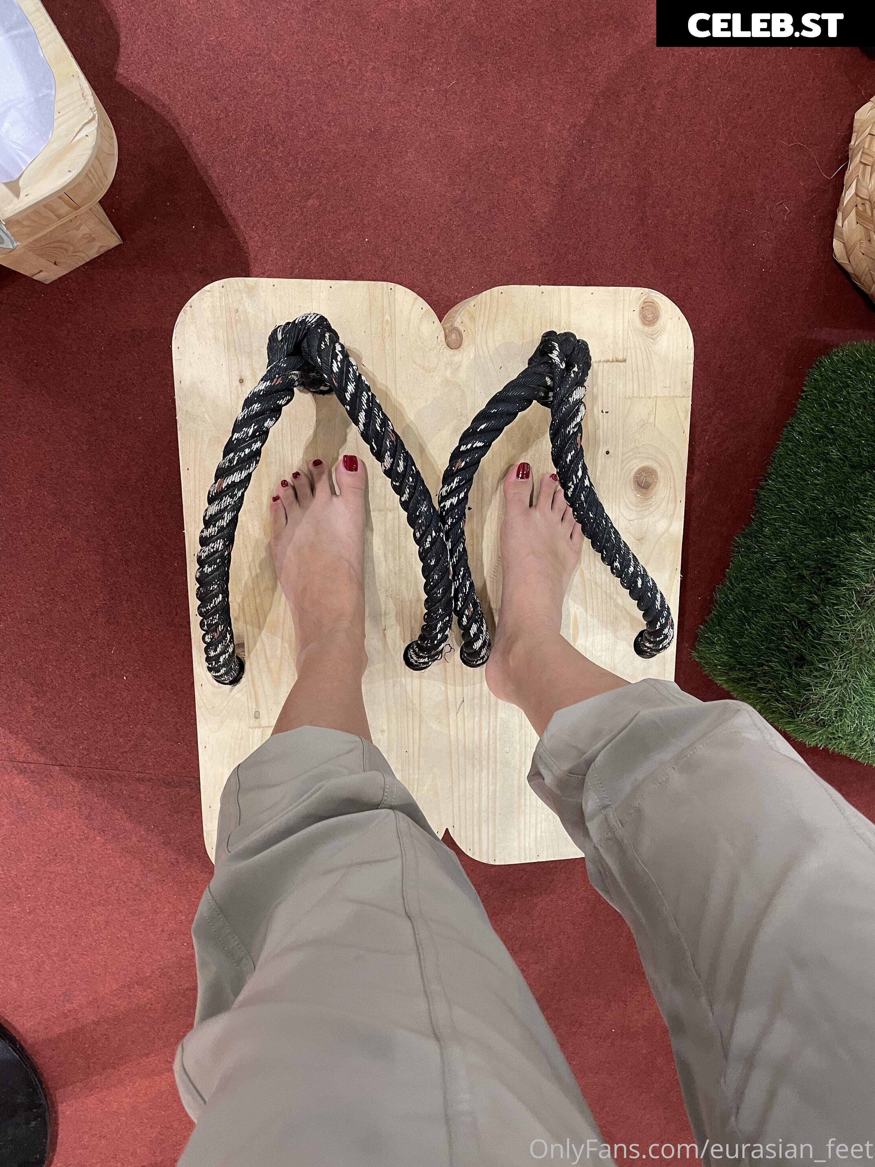 eurasian_feet Image 18072761