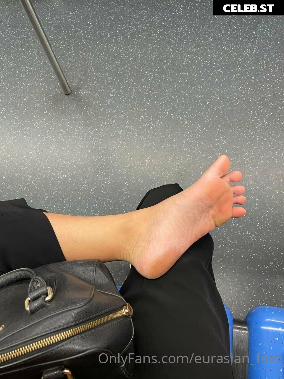 eurasian_feet Image 18072687