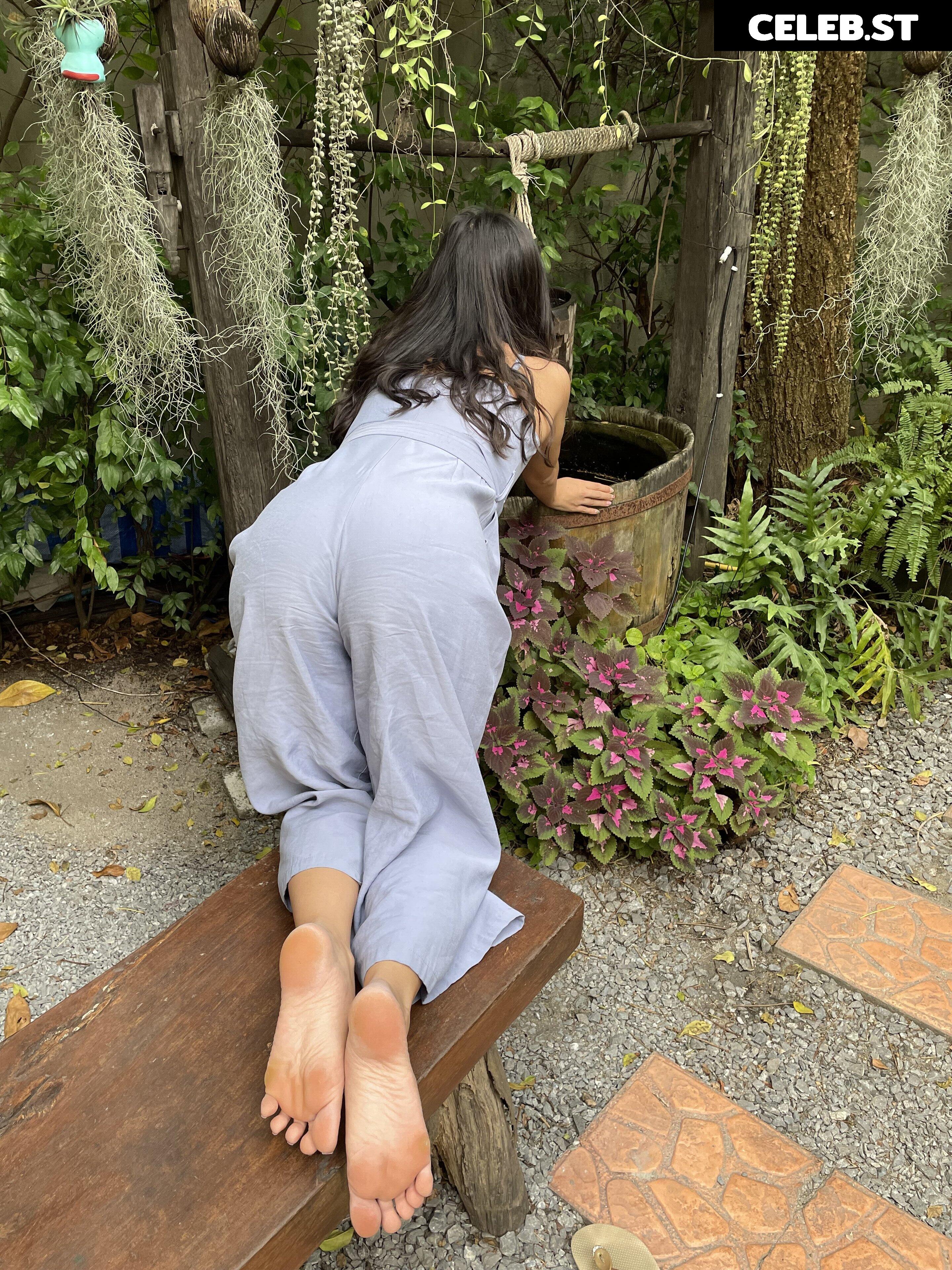 eurasian_feet Image 18072663