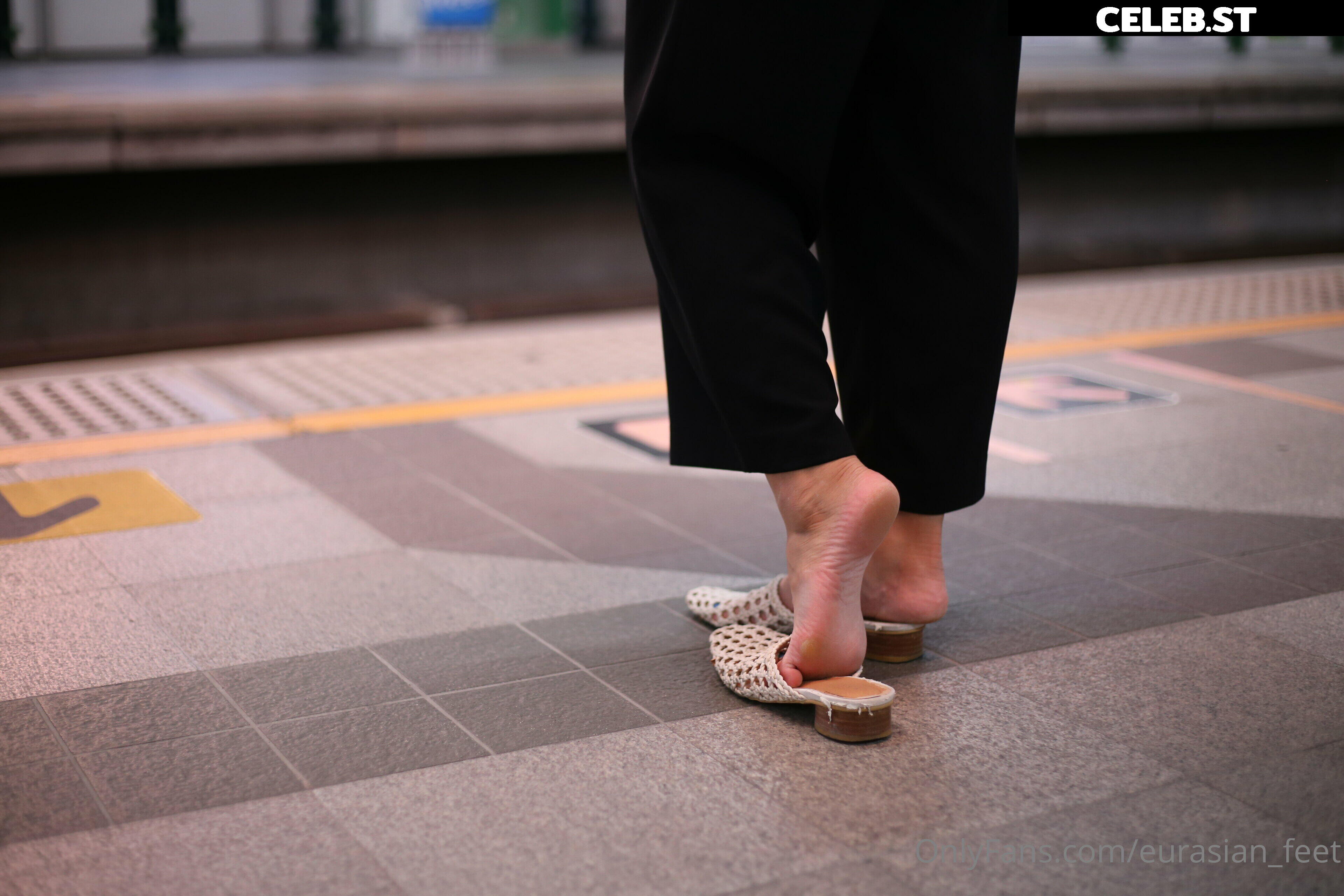 eurasian_feet Image 18072188