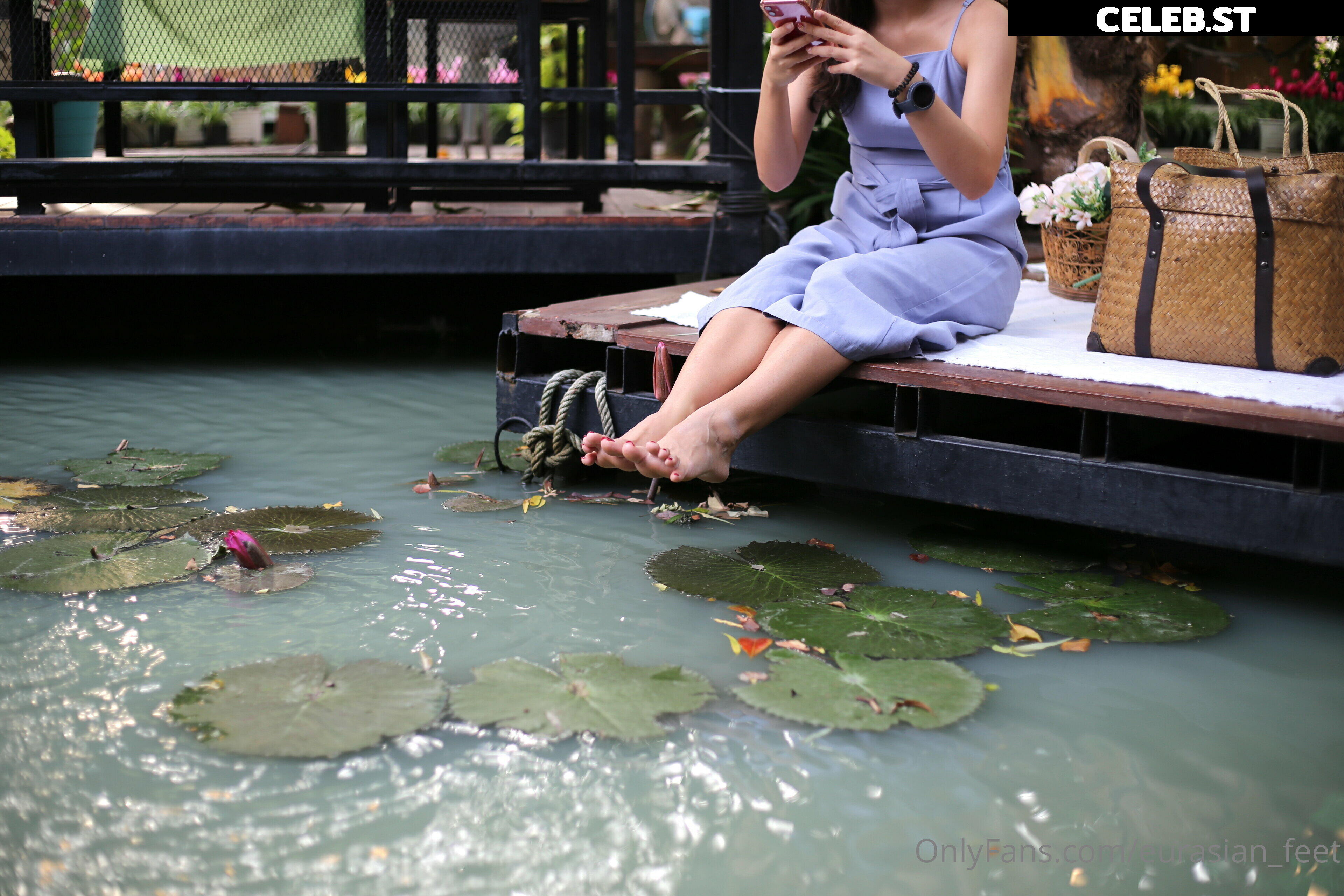 eurasian_feet Image 18072177