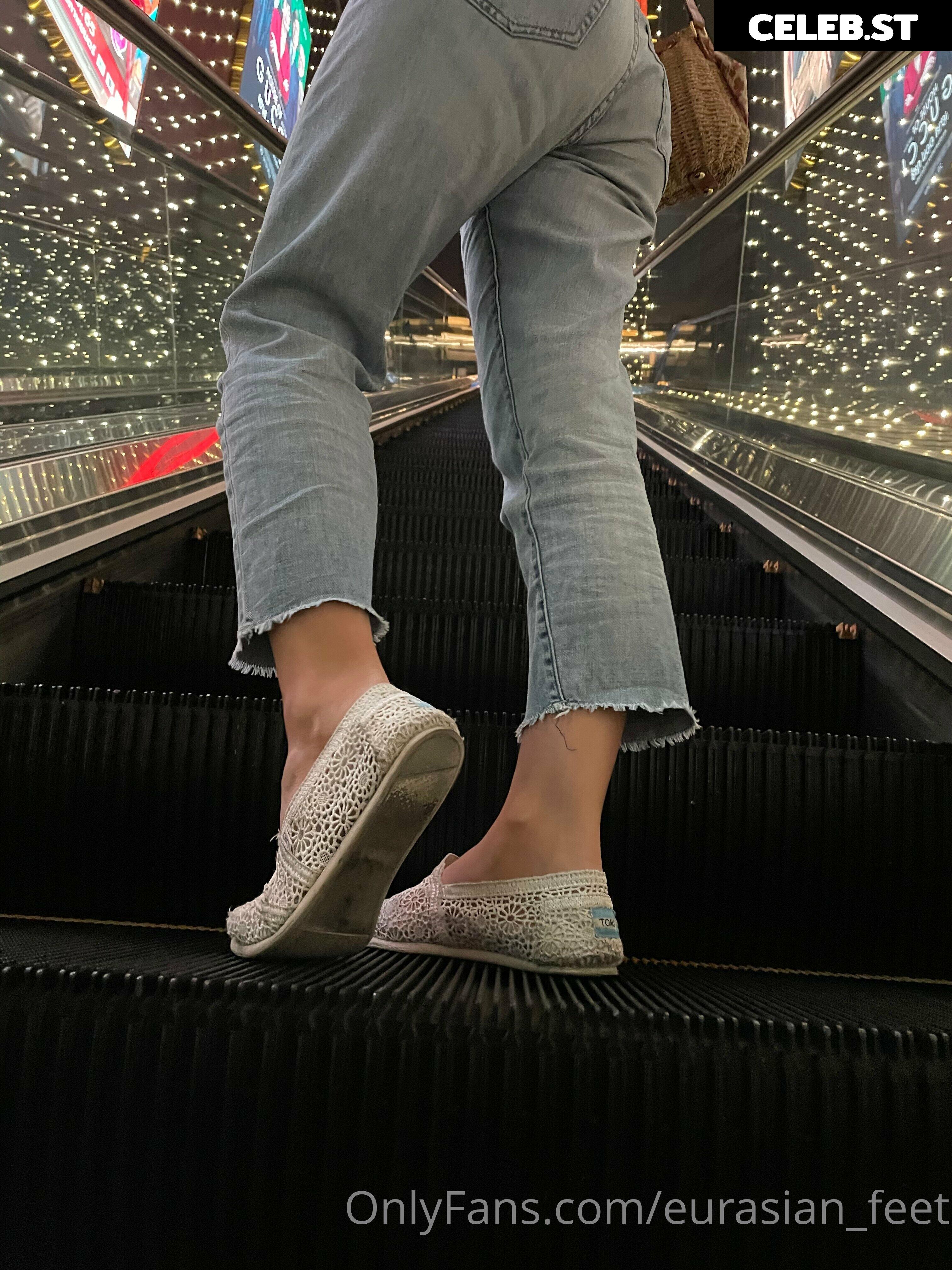 eurasian_feet Image 18072008