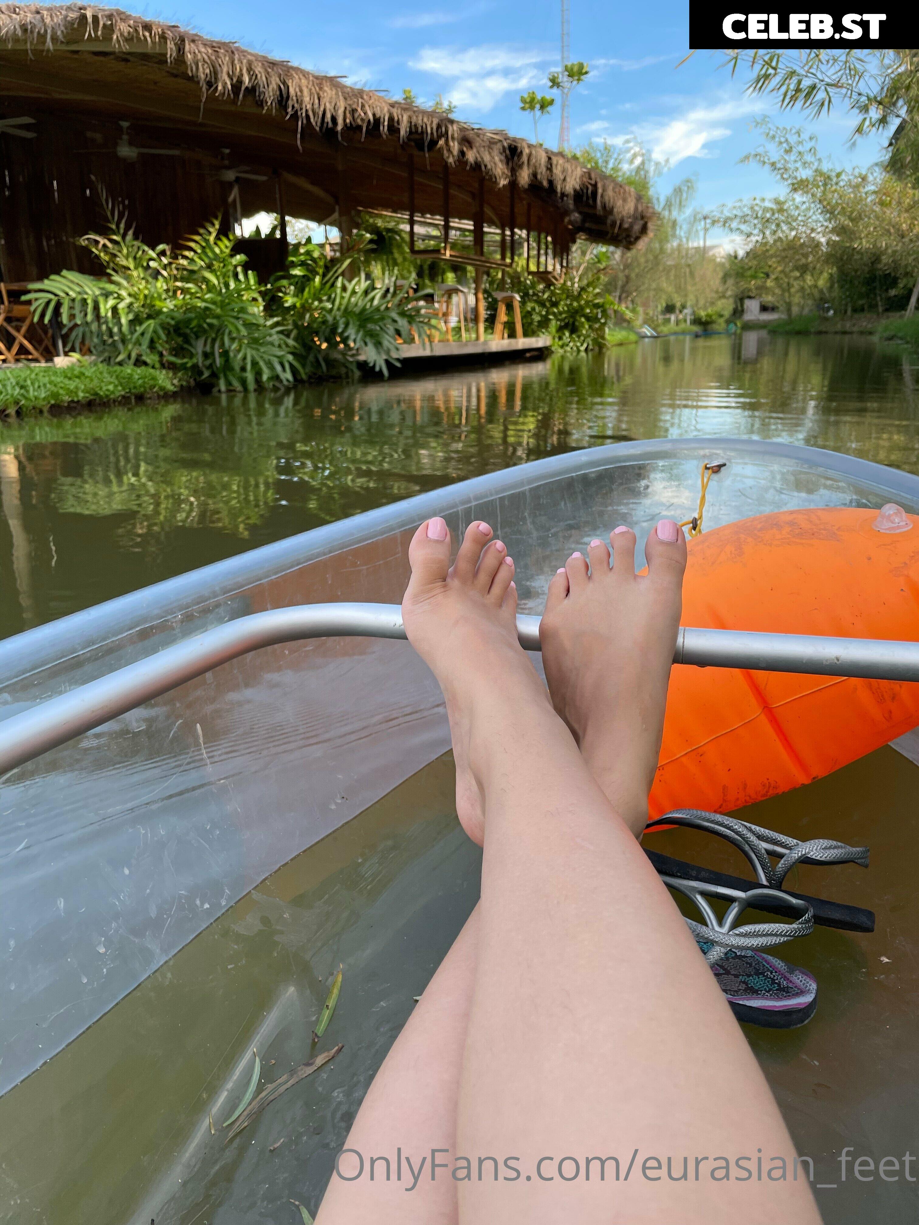 eurasian_feet Image 18072068