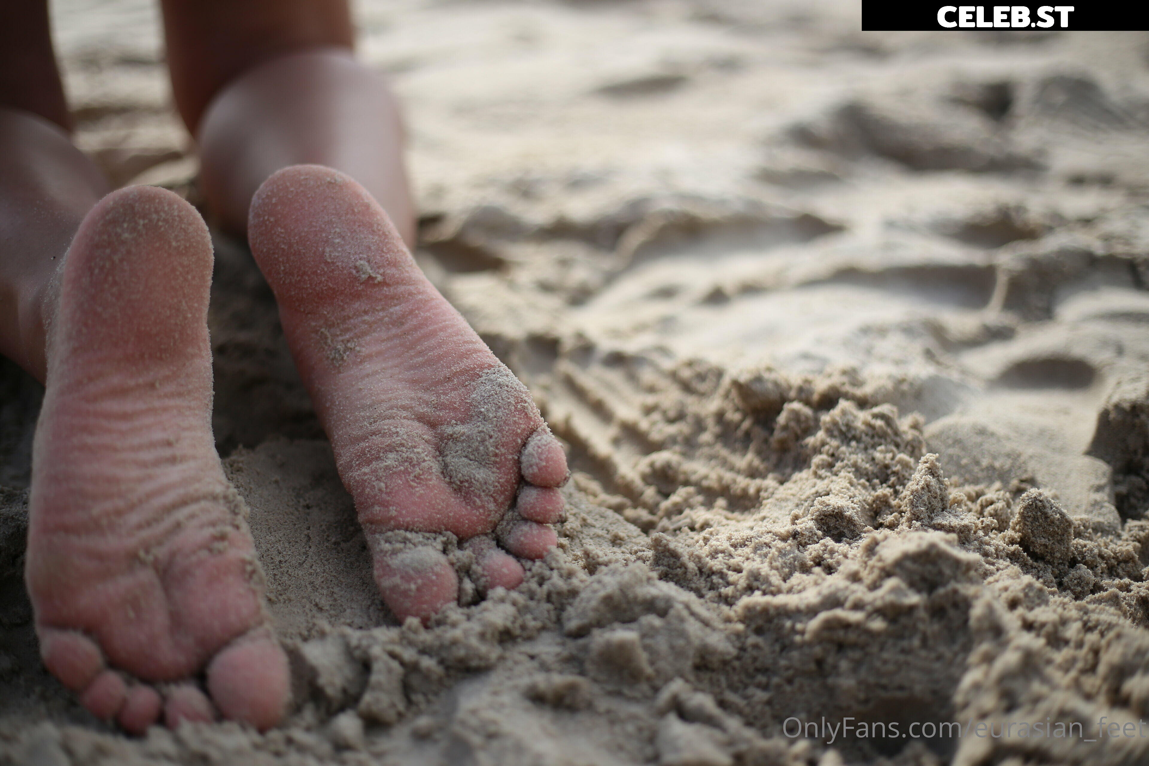 eurasian_feet Image 18072070
