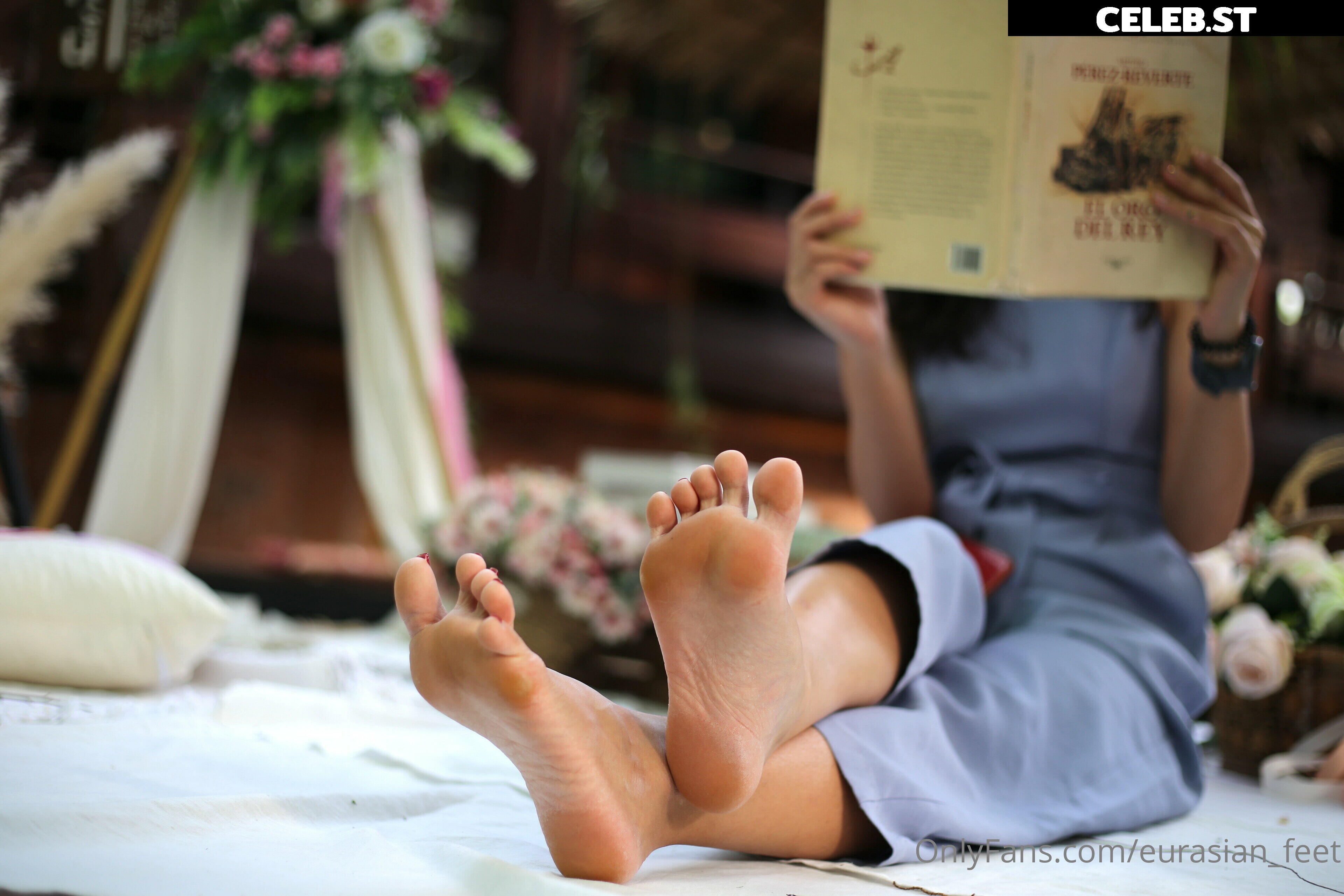 eurasian_feet Image 18072360