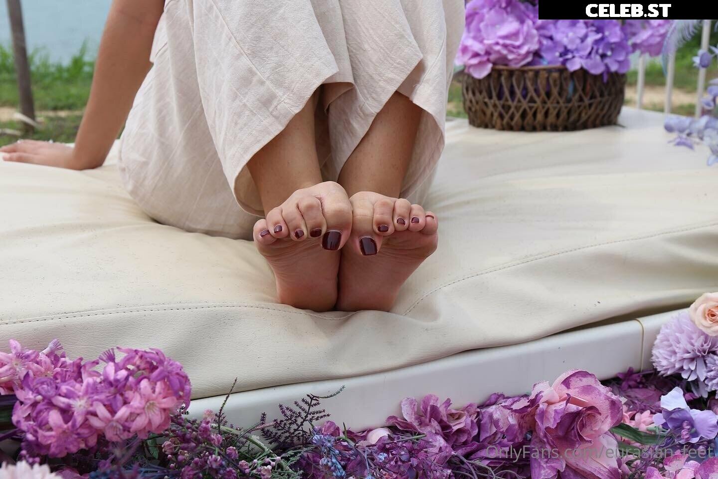 eurasian_feet Image 18072291