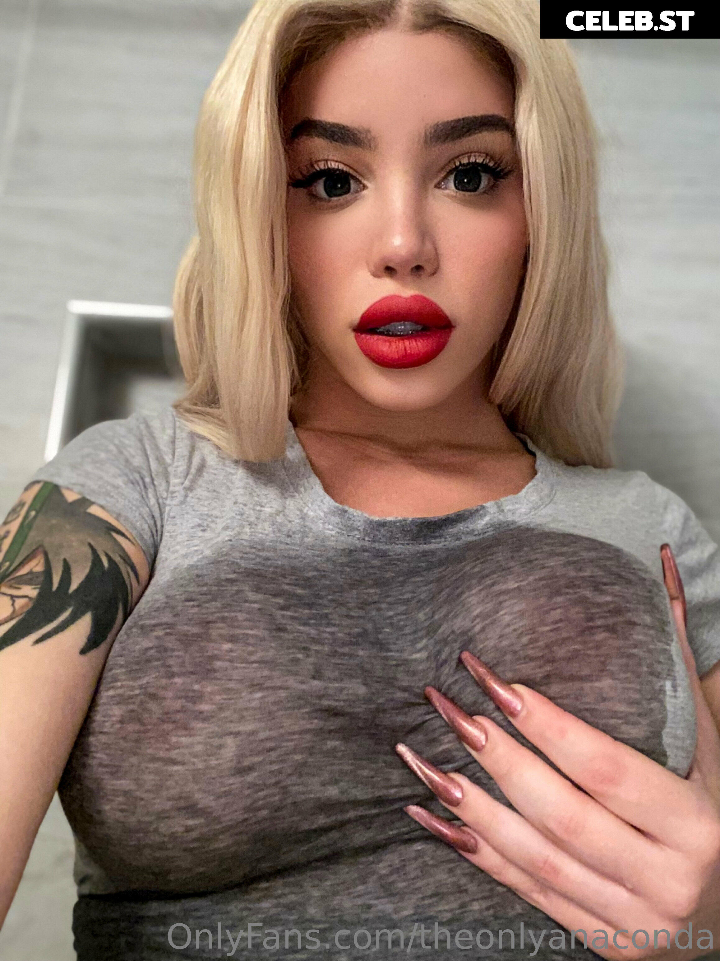 theonlyanaconda Image 18047365