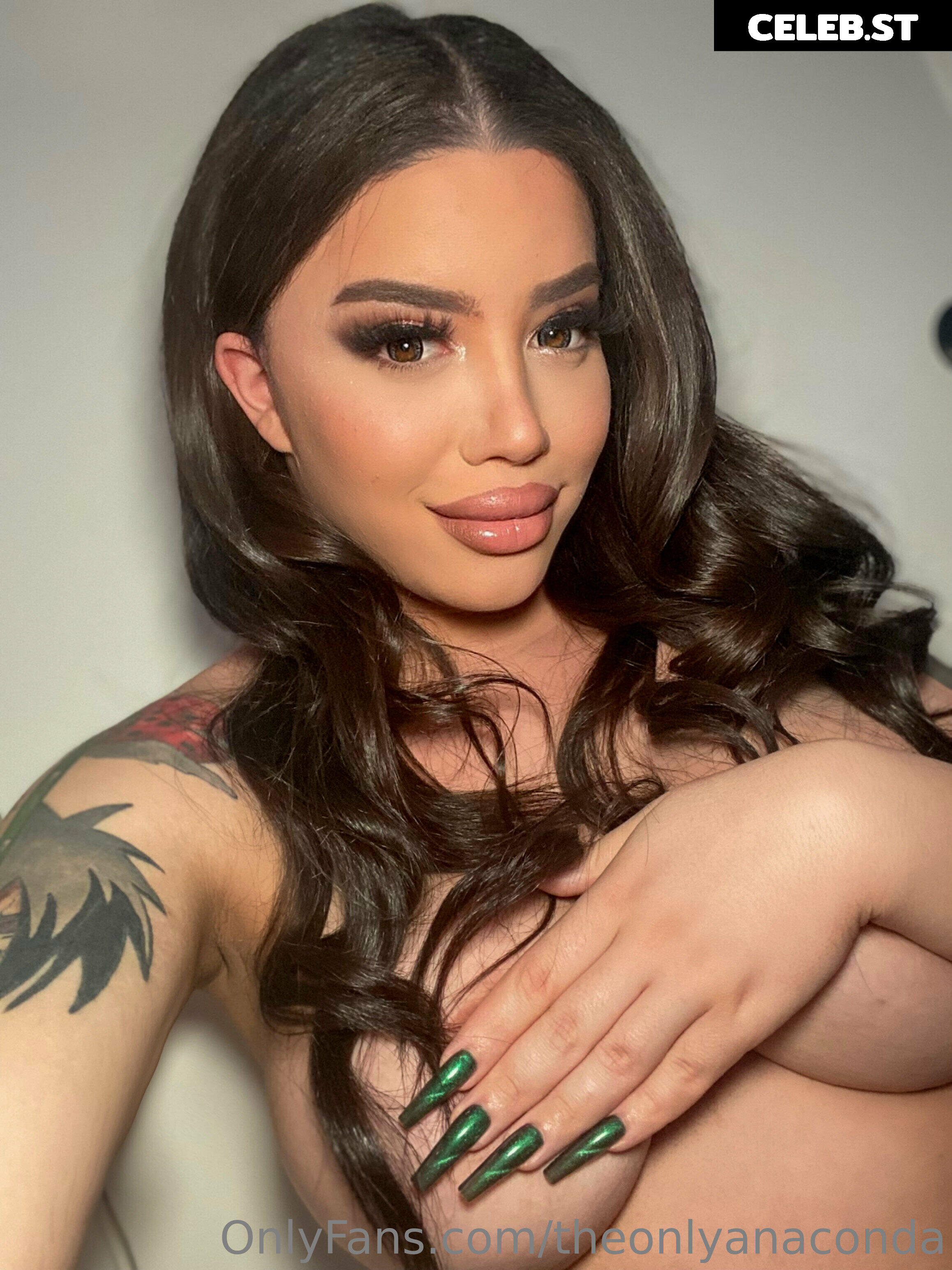 theonlyanaconda Image 18040162