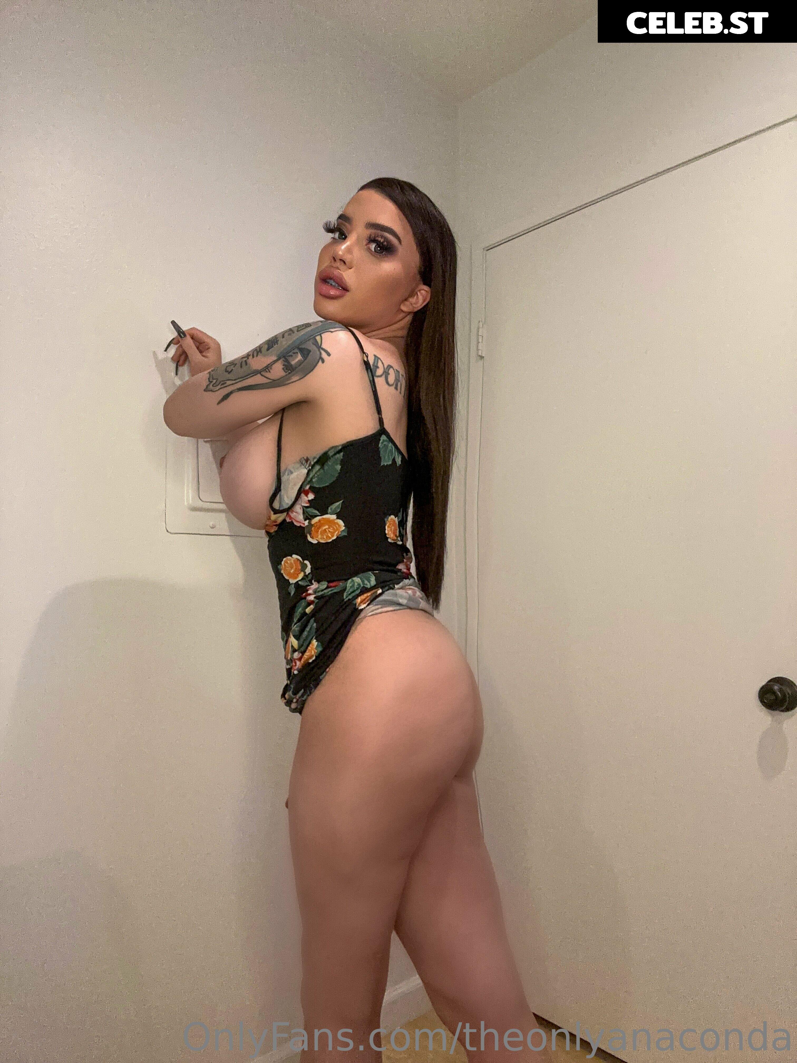 theonlyanaconda Image 18013411