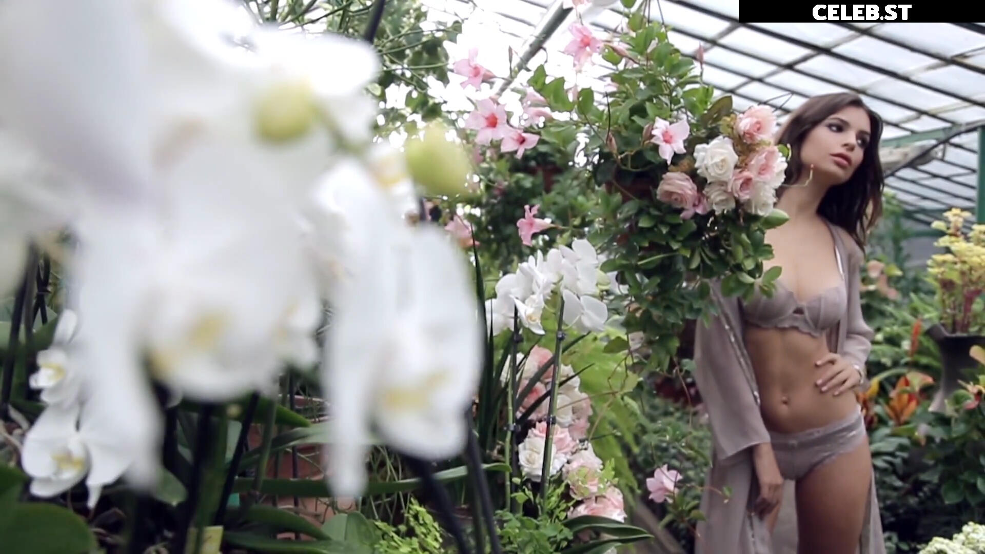 Emily Ratajkowski Image 1802016