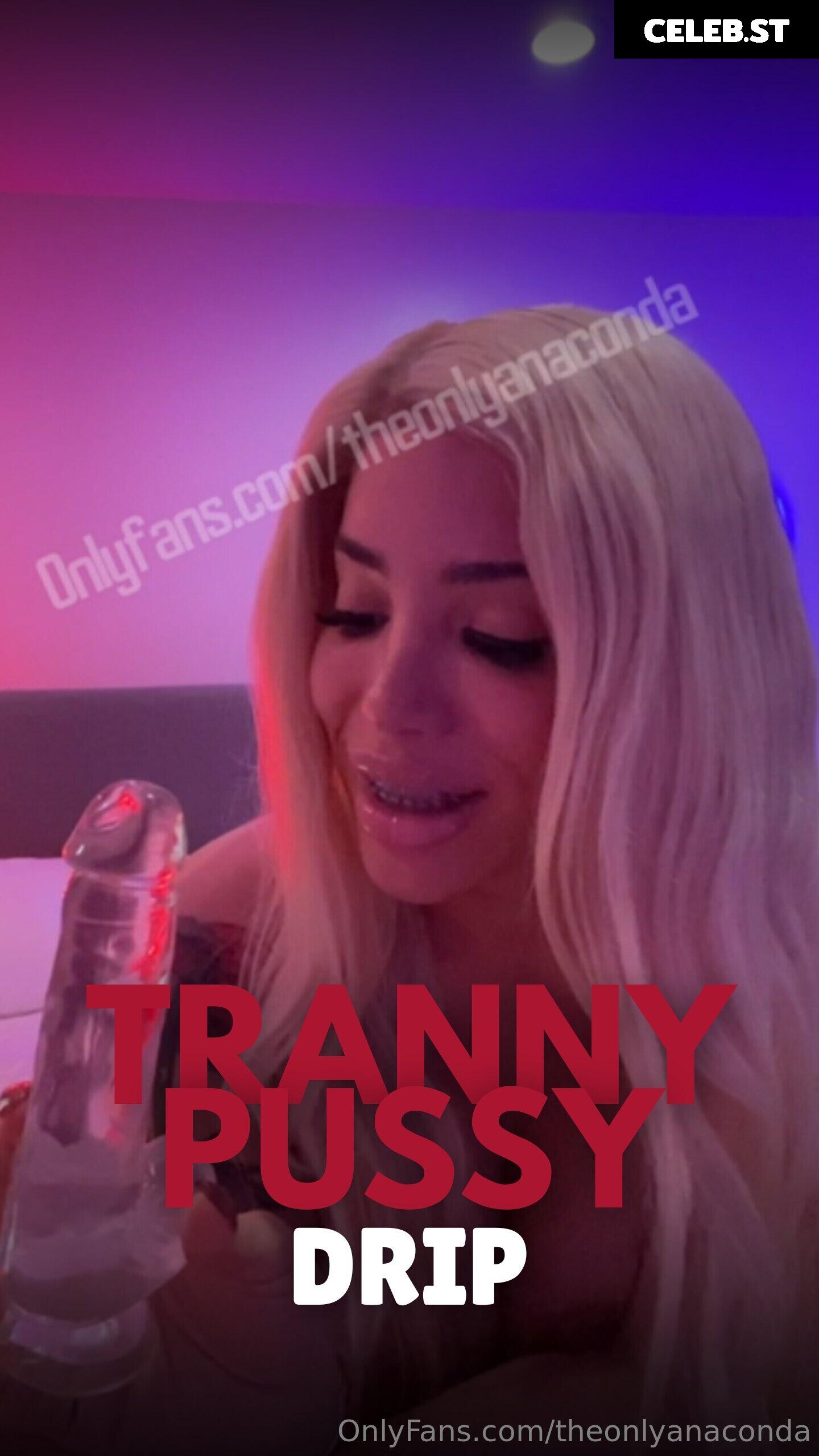 theonlyanaconda Image 18023102