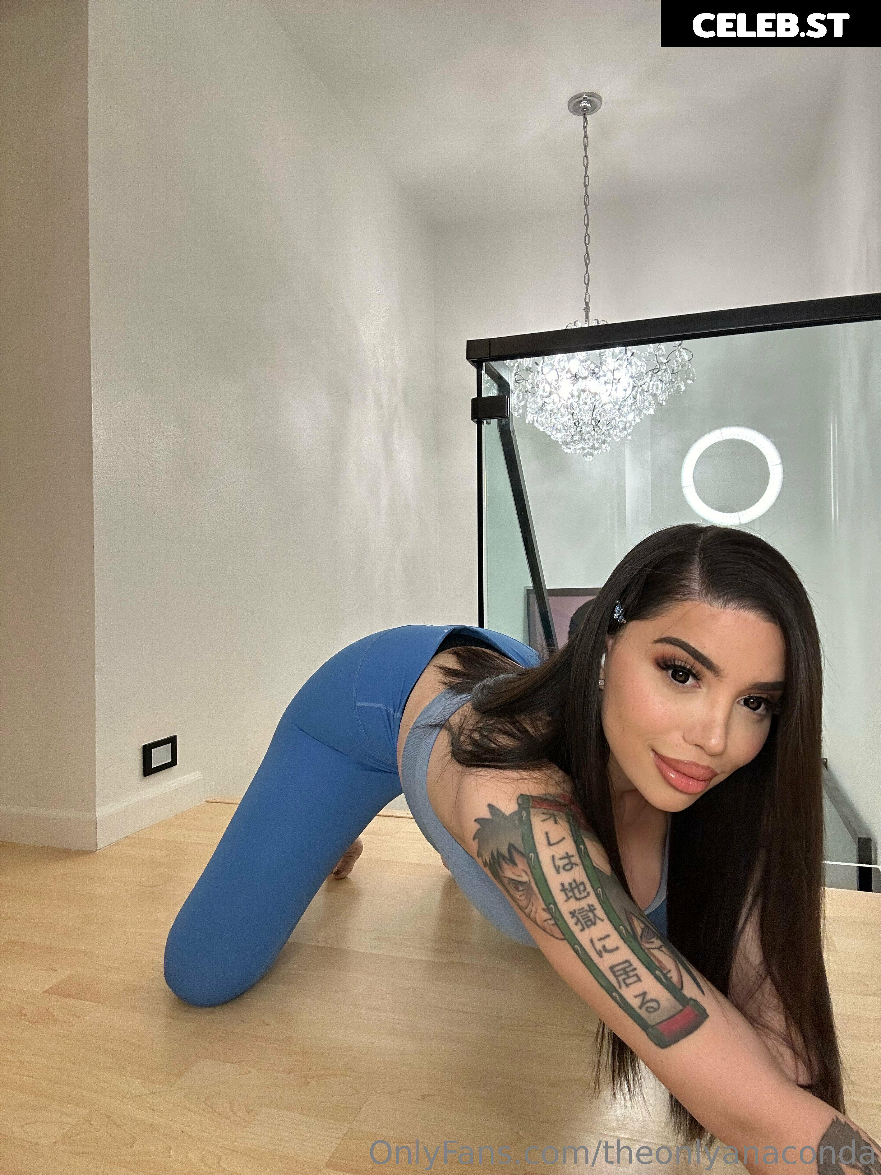 theonlyanaconda Image 18036350