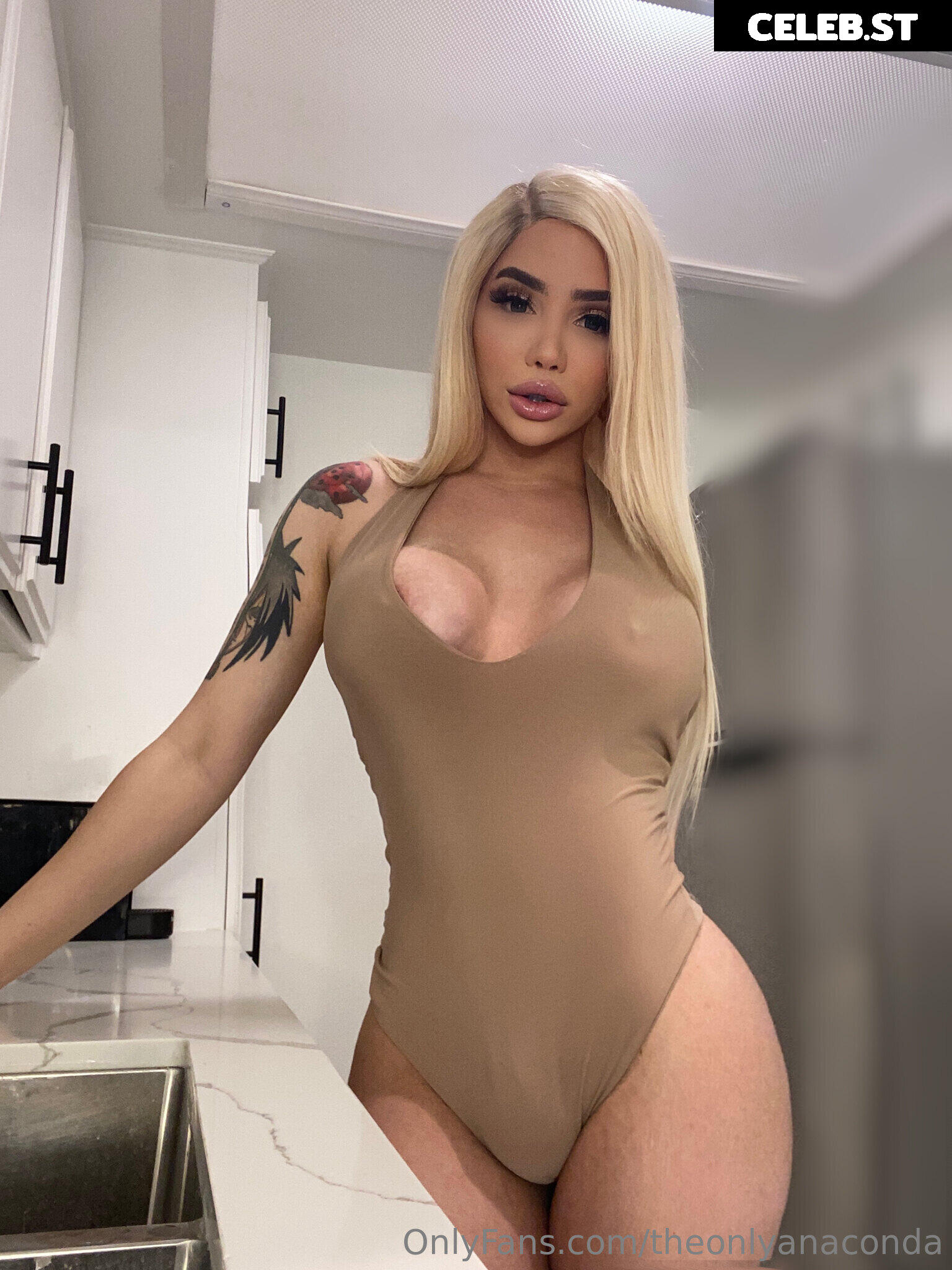 theonlyanaconda Image 18033827