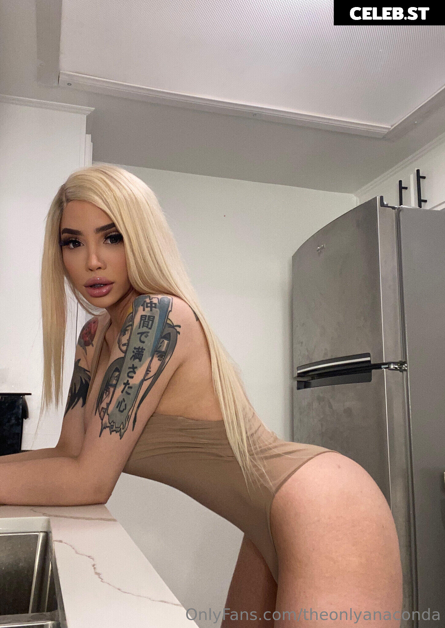 theonlyanaconda Image 18033732