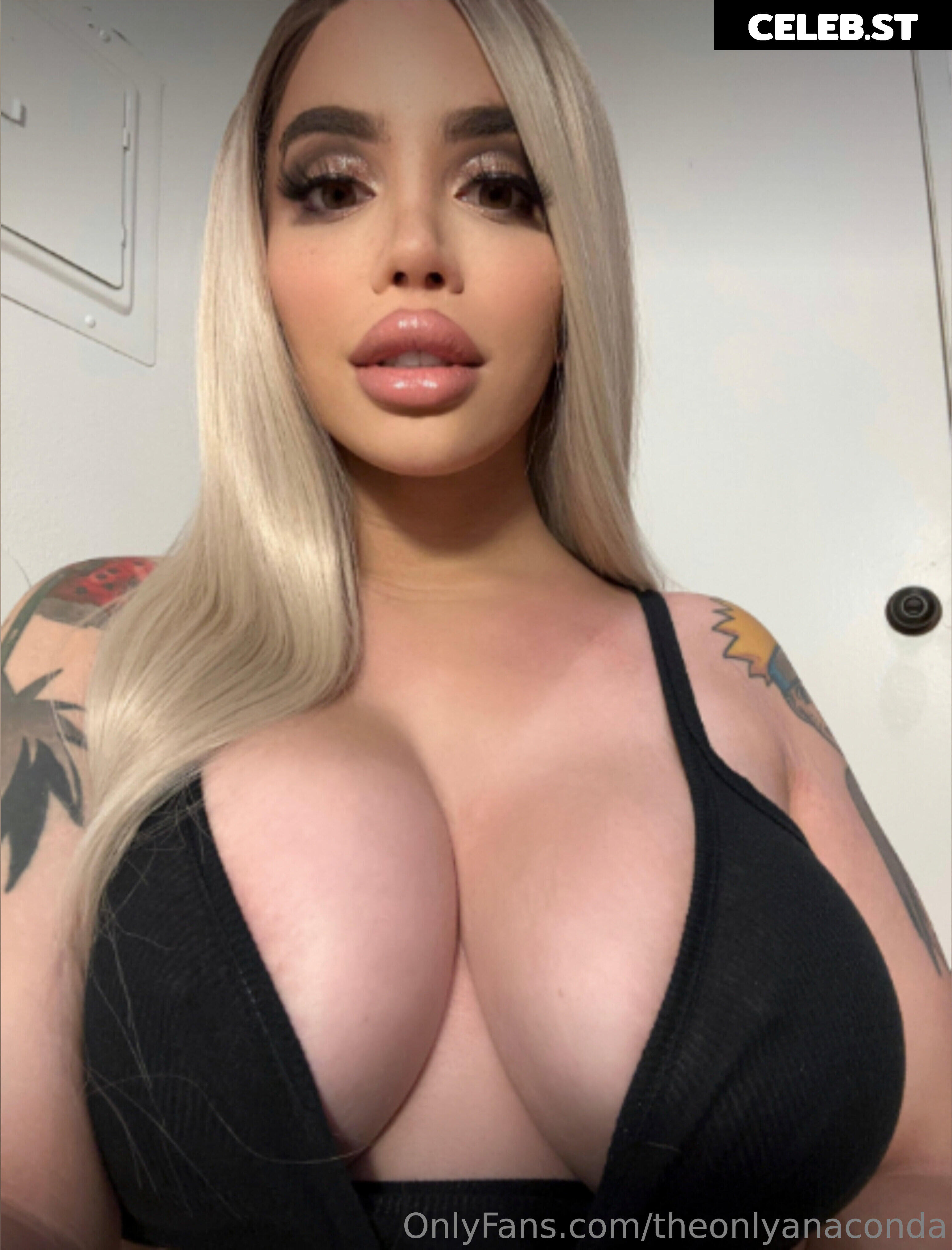 theonlyanaconda Image 18007895
