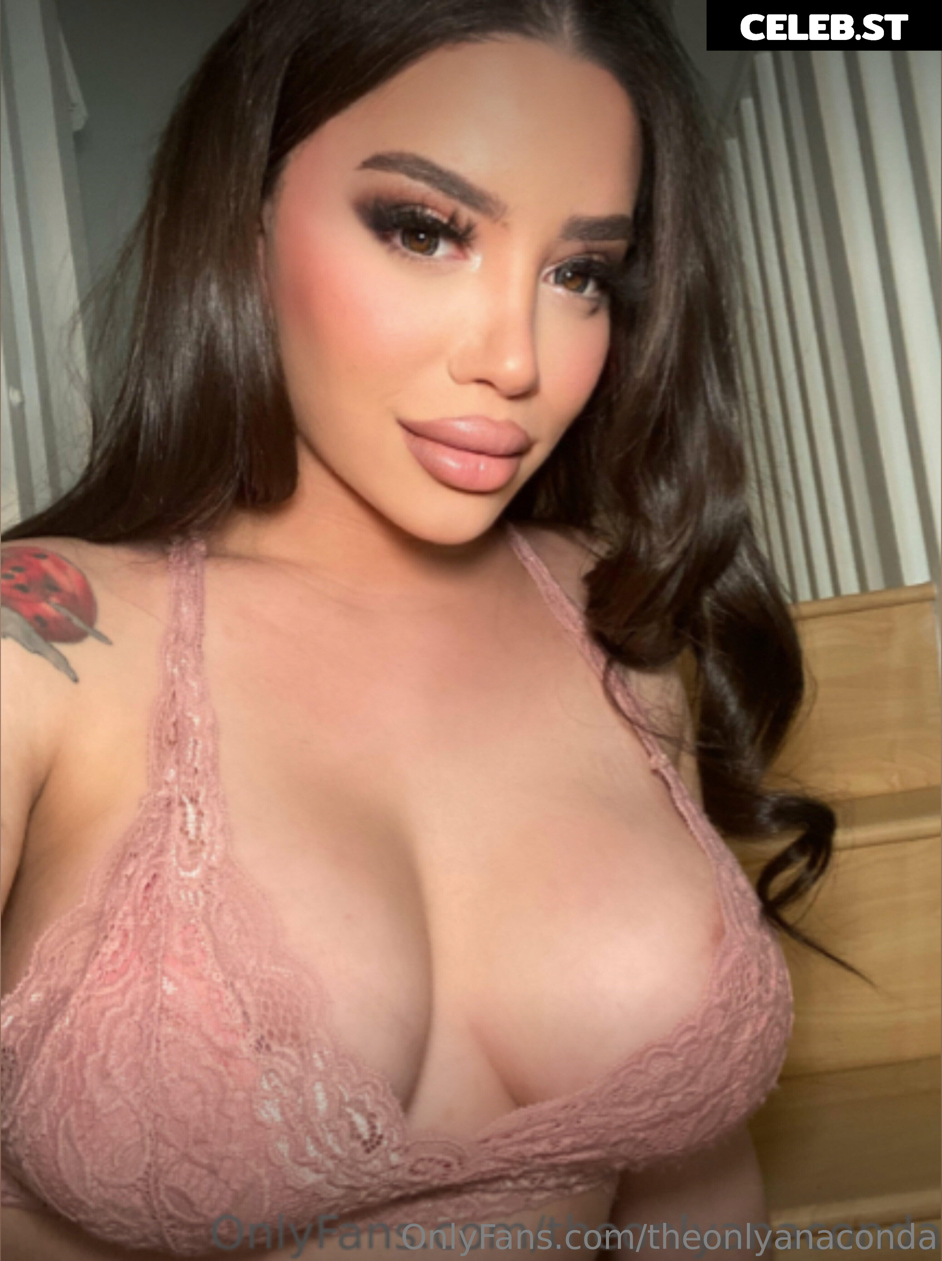 theonlyanaconda Image 18007544