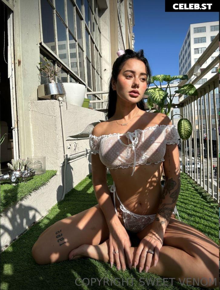 Sweetvenom Image 180070