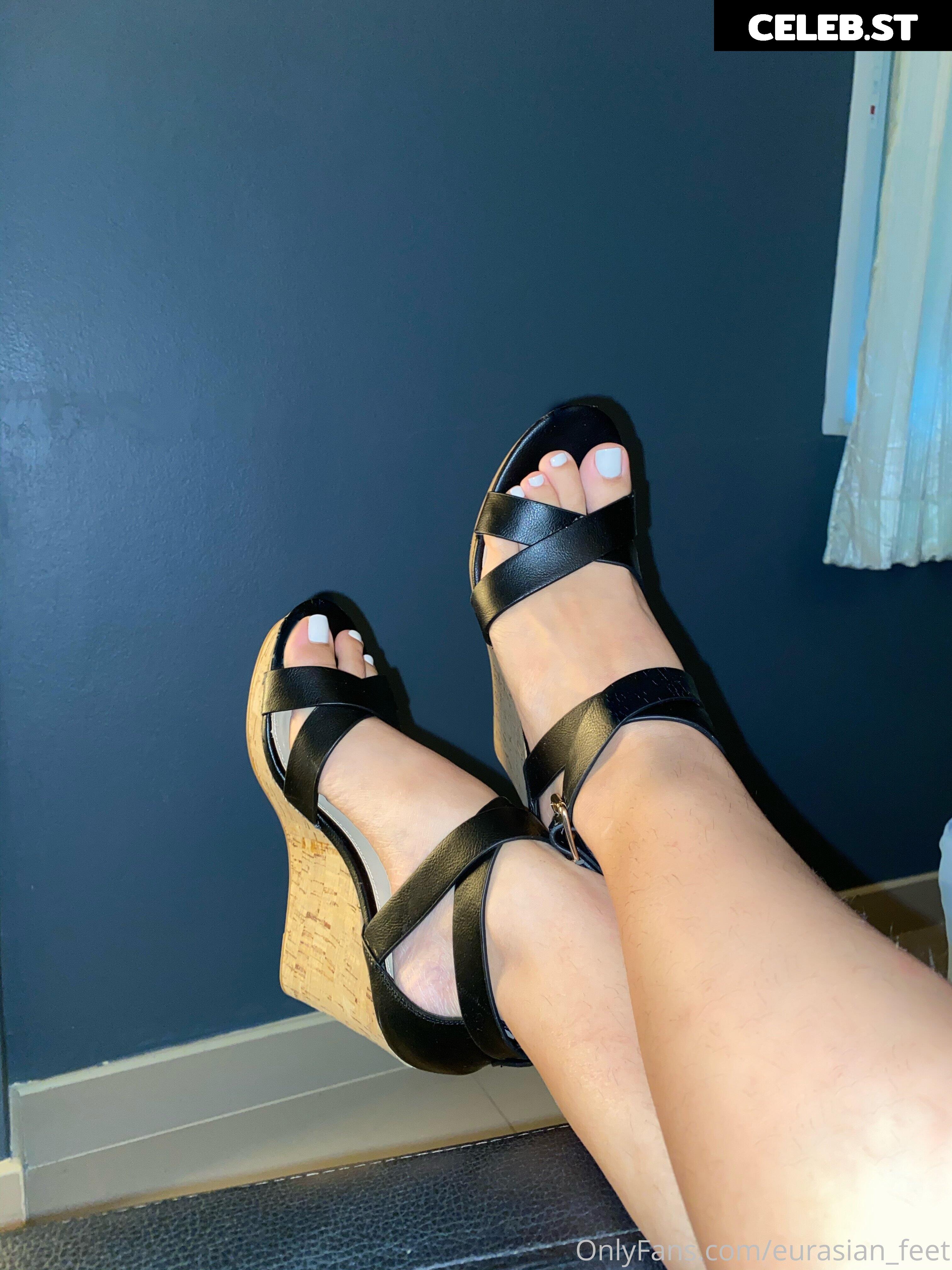 eurasian_feet Image 18088359