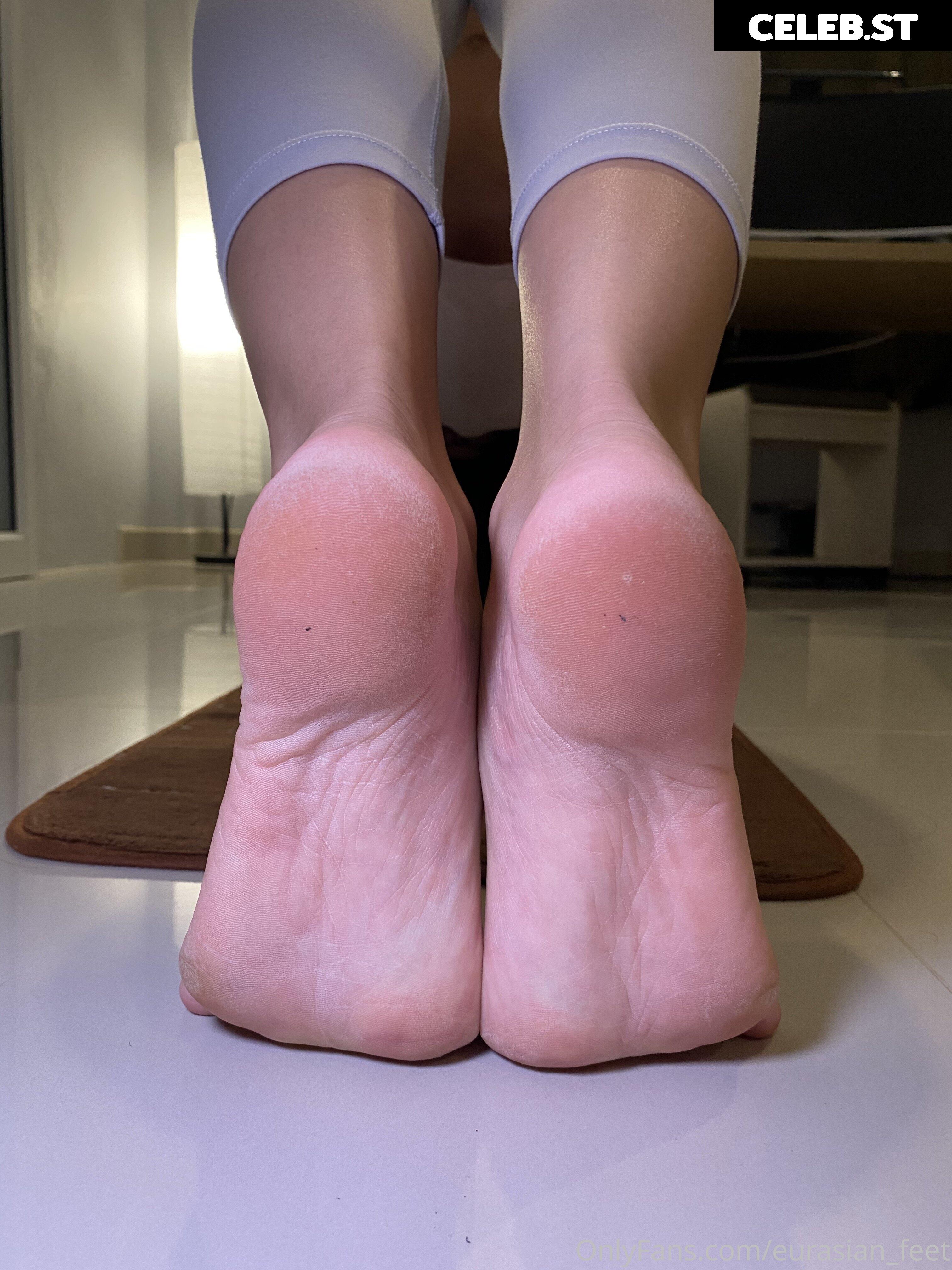 eurasian_feet Image 18084040