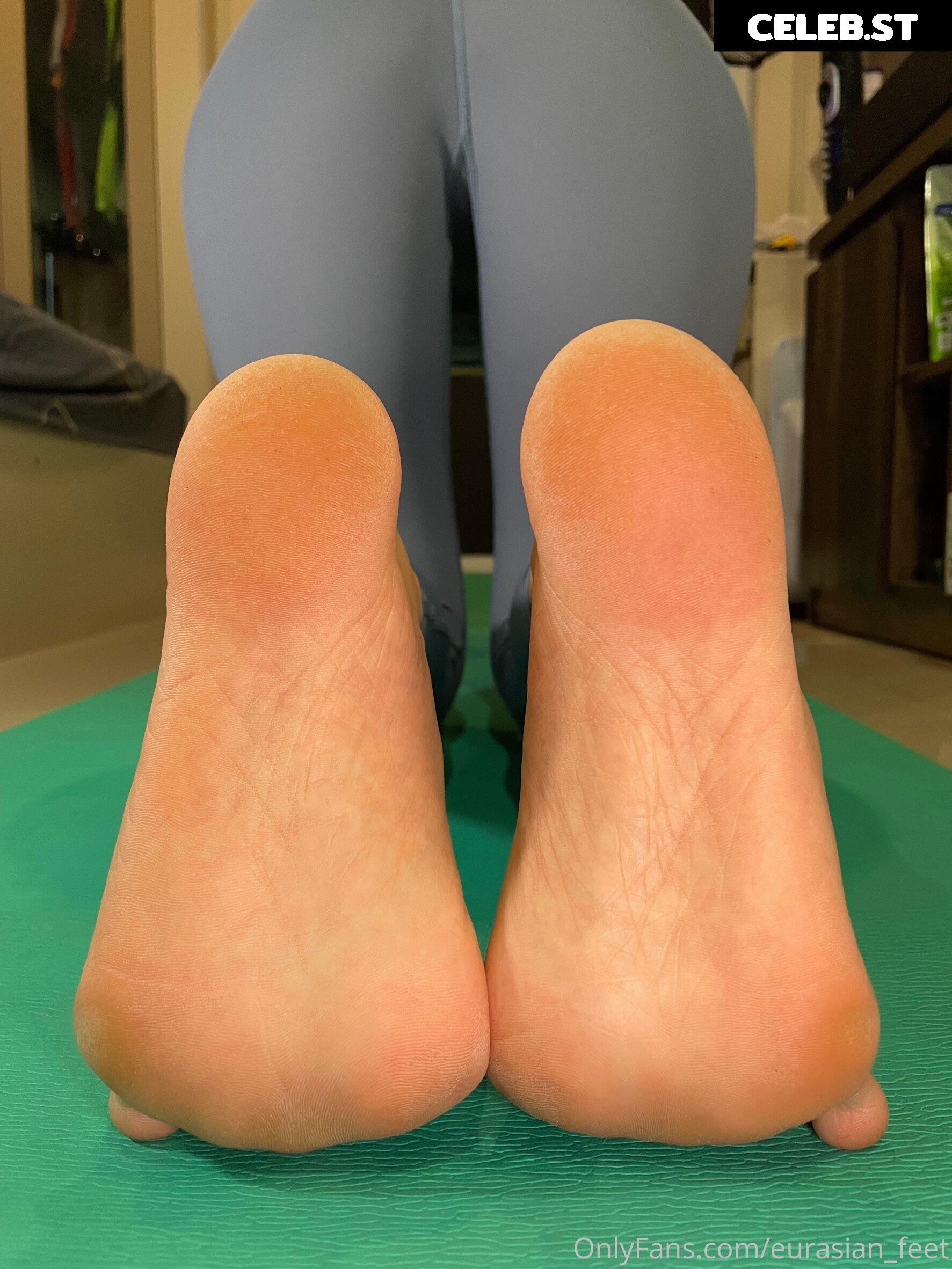 eurasian_feet Image 18081168
