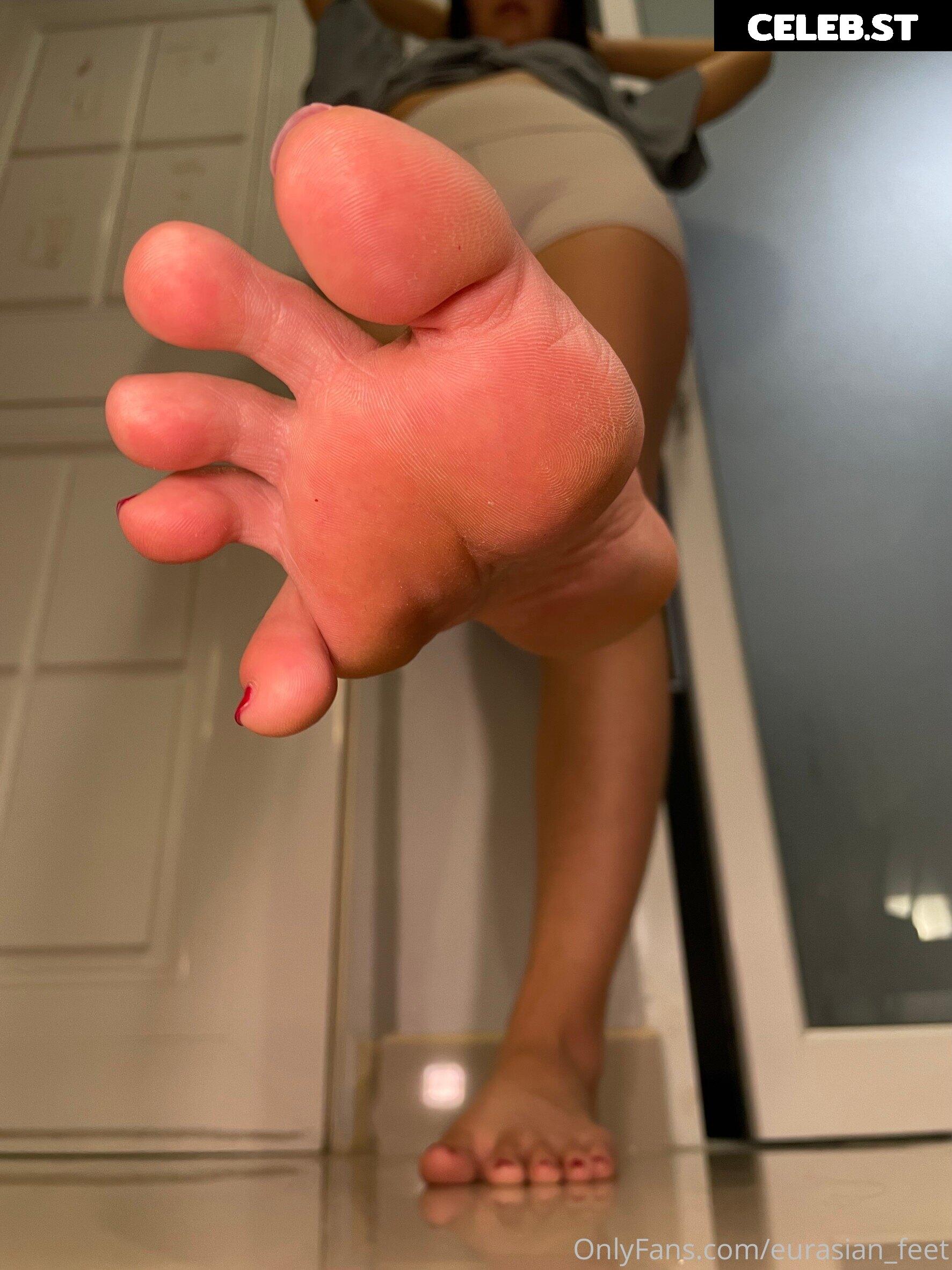 eurasian_feet Image 18081243