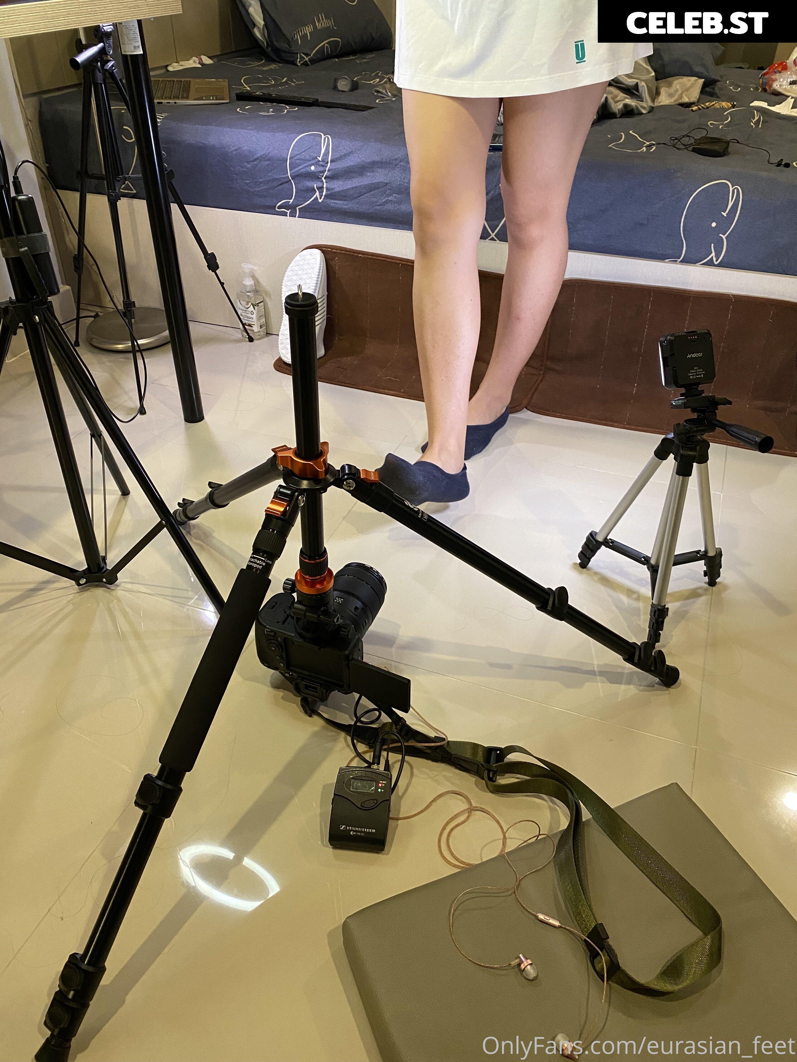 eurasian_feet Image 18080533