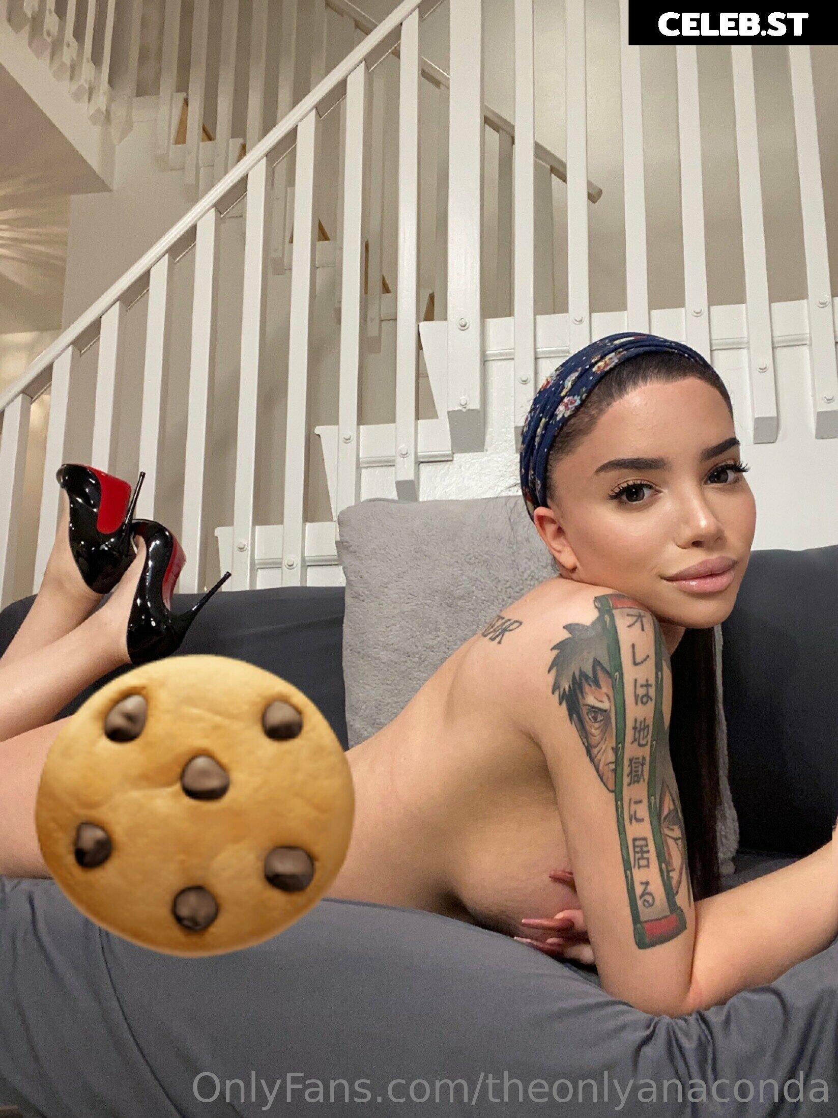 theonlyanaconda Image 18082218