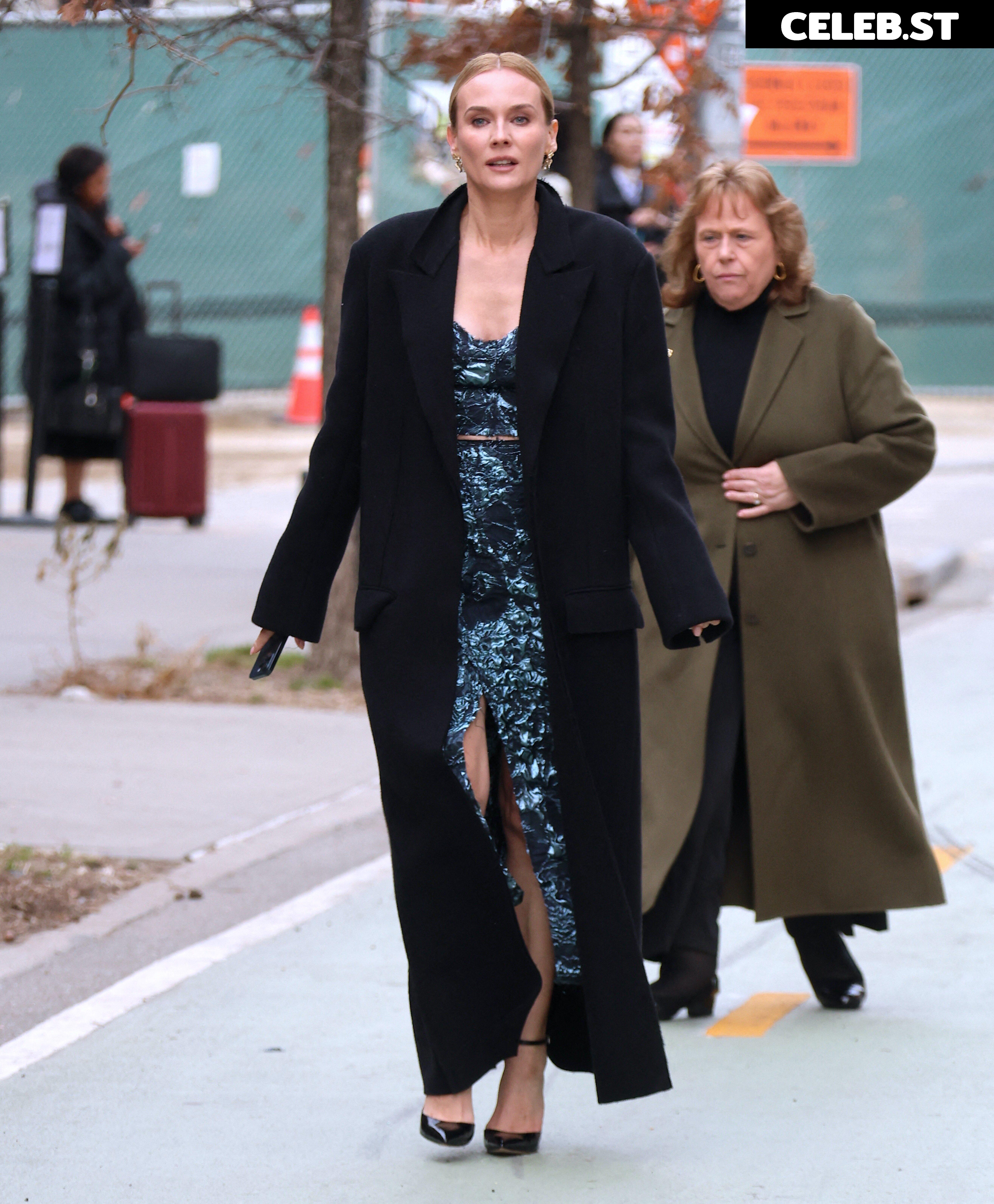 Diane Kruger Image 1996719