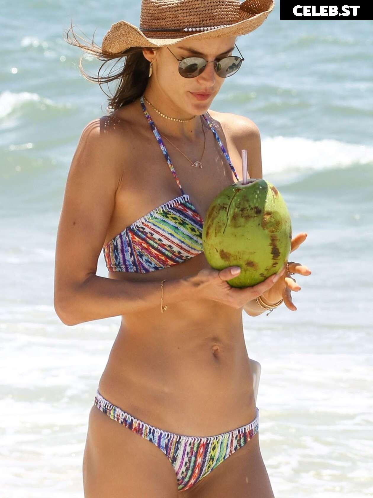 Alessandra Ambrosio Image 1997331
