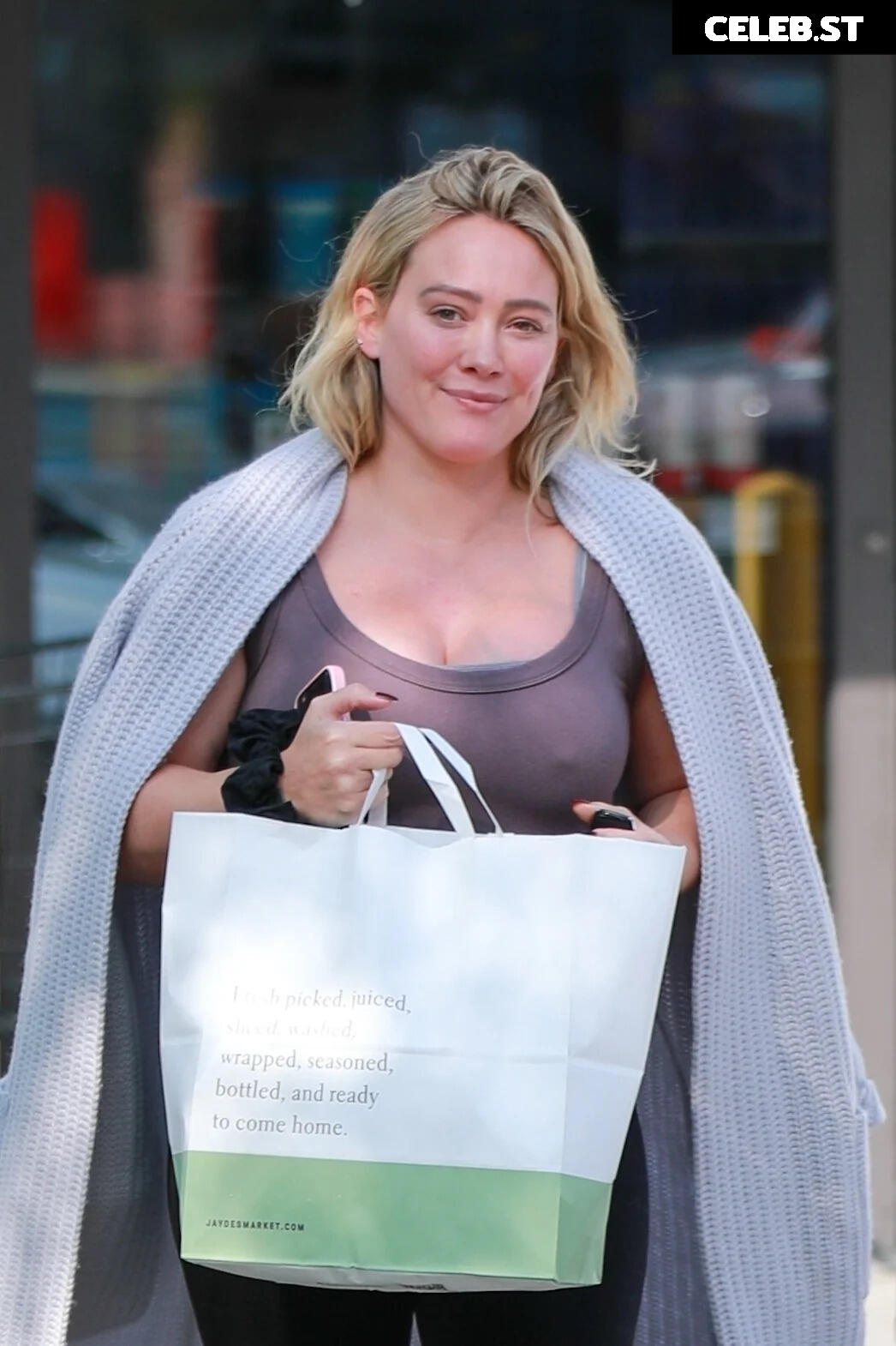 Hillary Duff Image 1994783