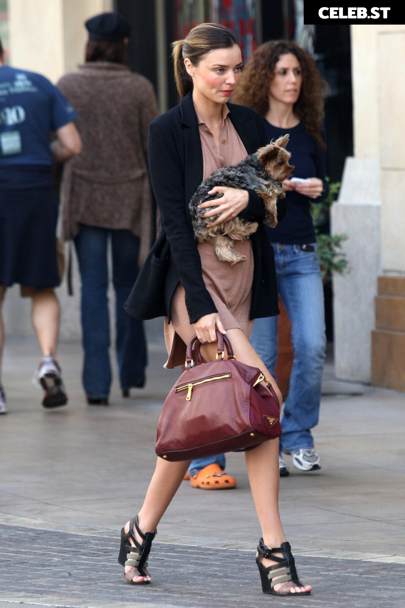 Miranda Kerr Image 1994193
