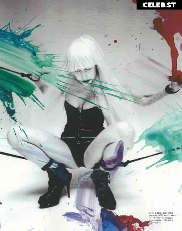 Lady Gaga Image 1991265