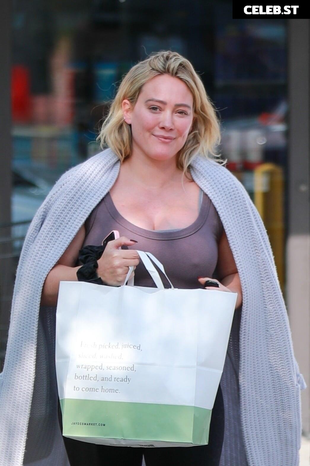 Hillary Duff Image 1993781