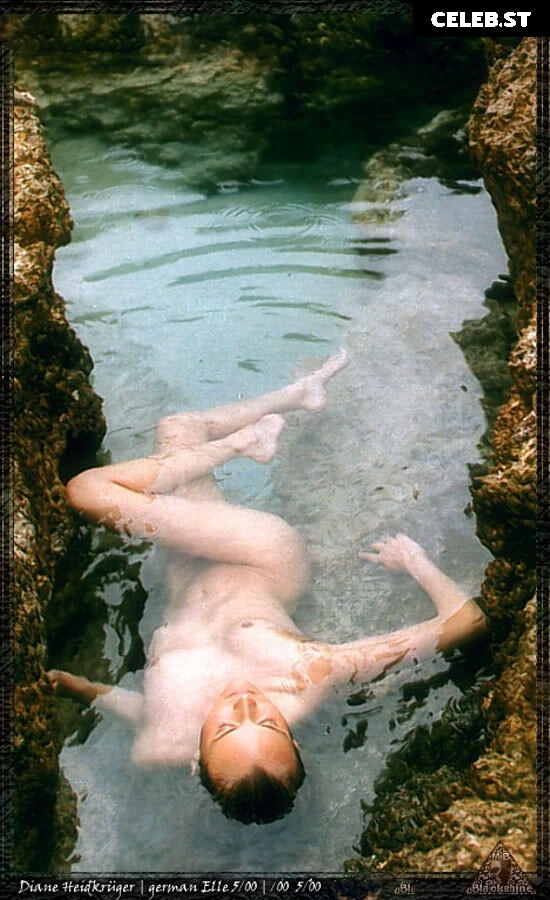 Diane Kruger Image 1993106