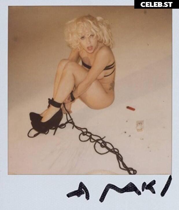 Lady Gaga Image 1990994