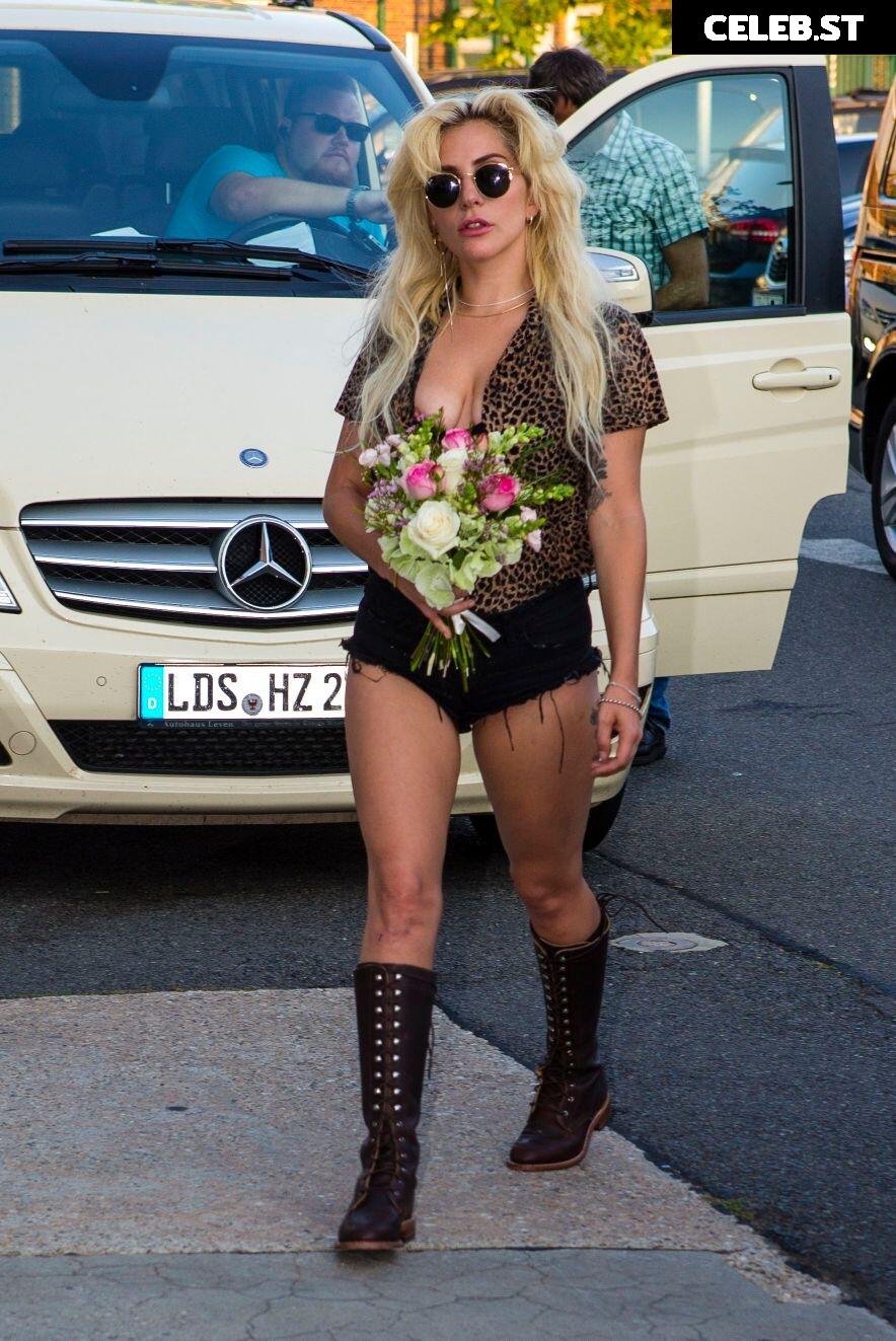 Lady Gaga Image 1999095