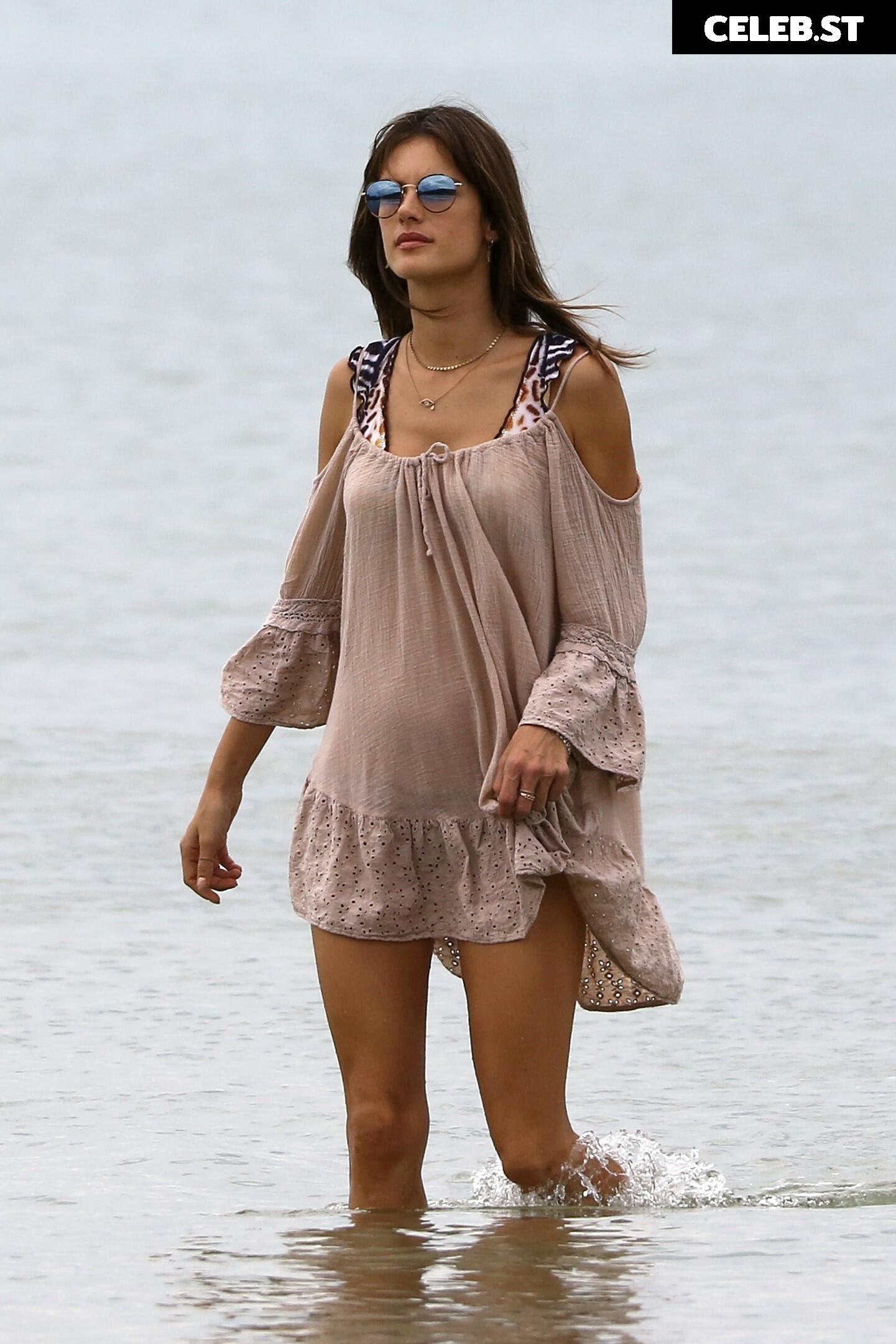 Alessandra Ambrosio Image 1998860