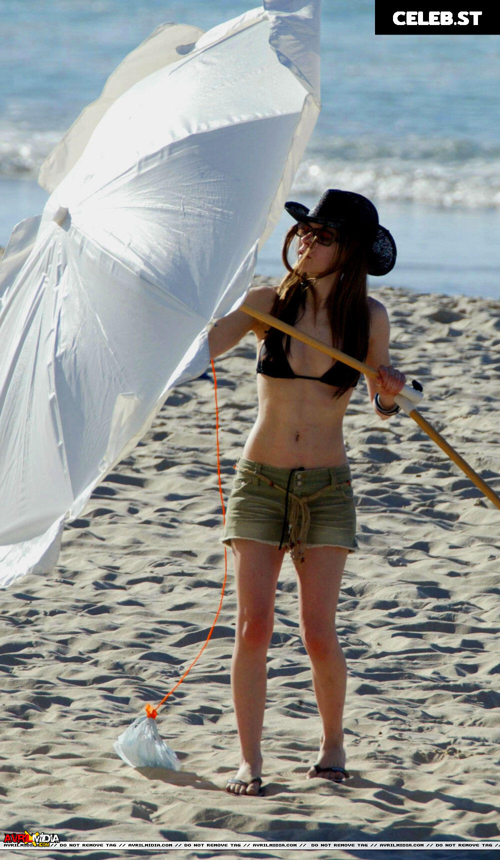 Avril Lavigne Image 1998584