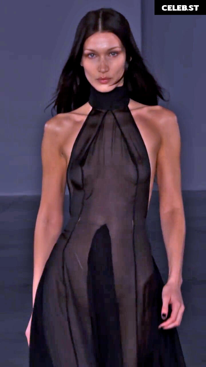 Bella Hadid Image 1985034