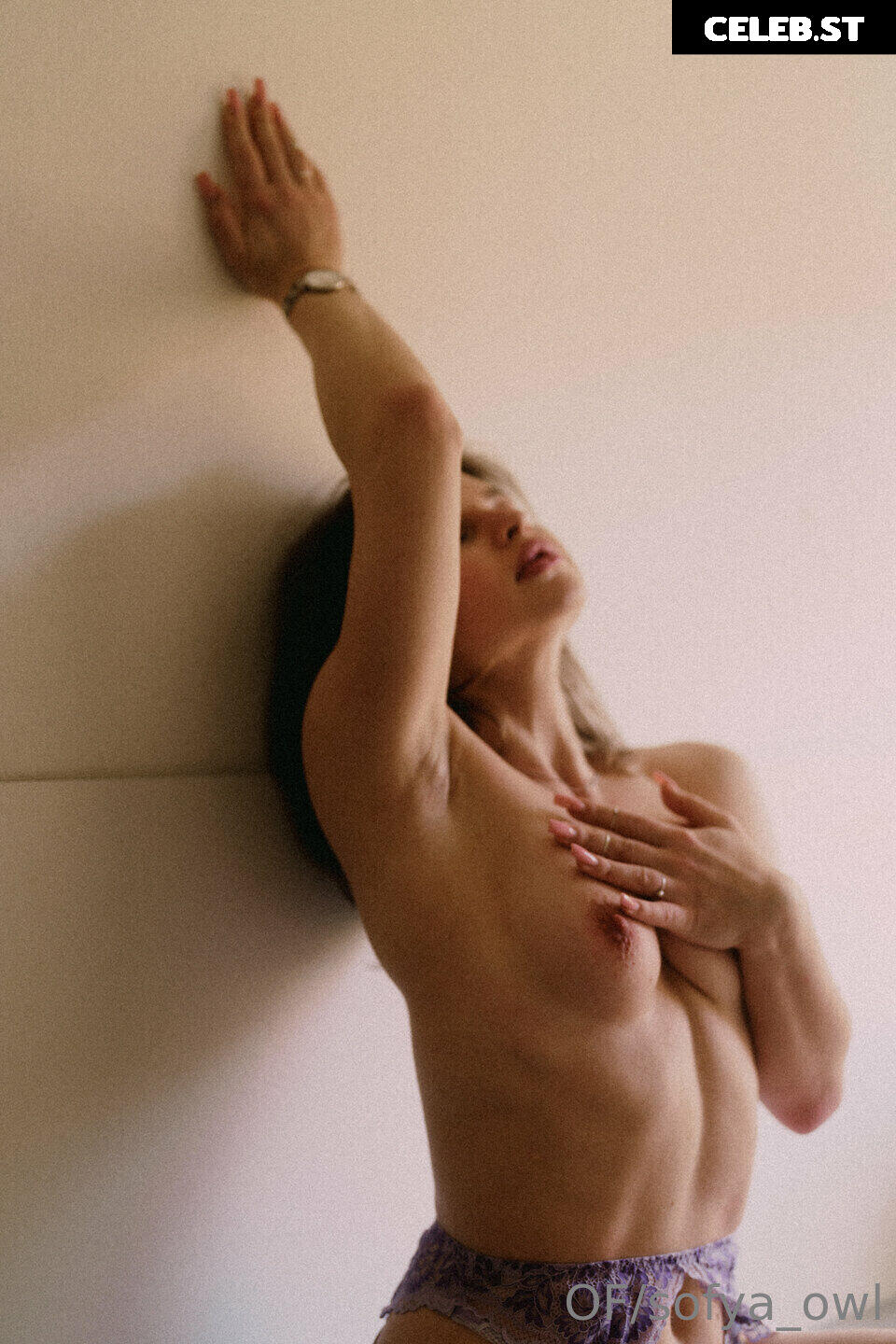 sofya_sofya.go / sofya_owl Image 19853827