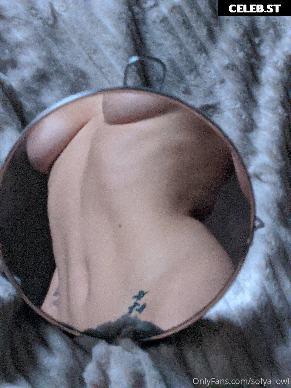 sofya_sofya.go / sofya_owl Image 19853476