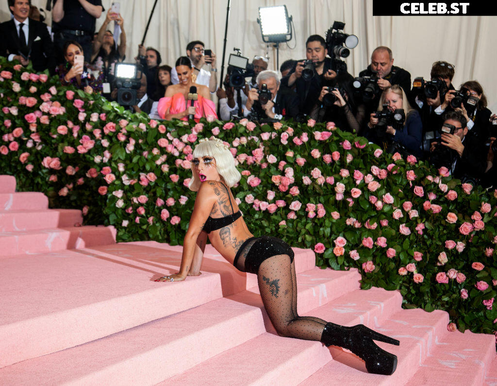 Lady Gaga Image 1986757