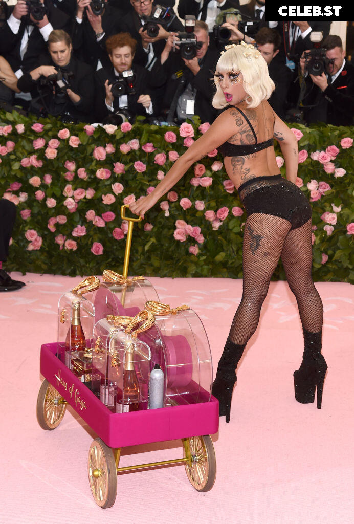 Lady Gaga Image 1986769