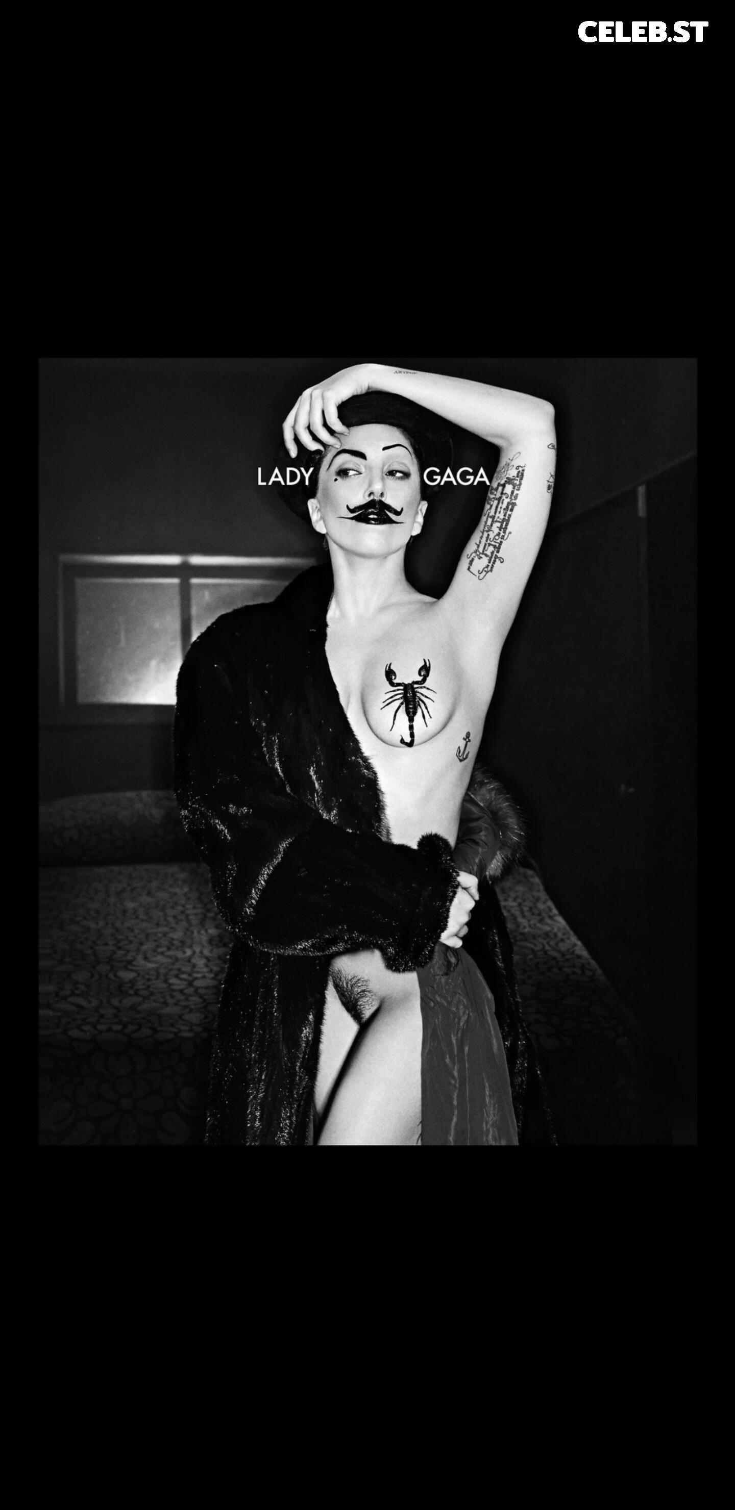 Lady Gaga Image 1987071